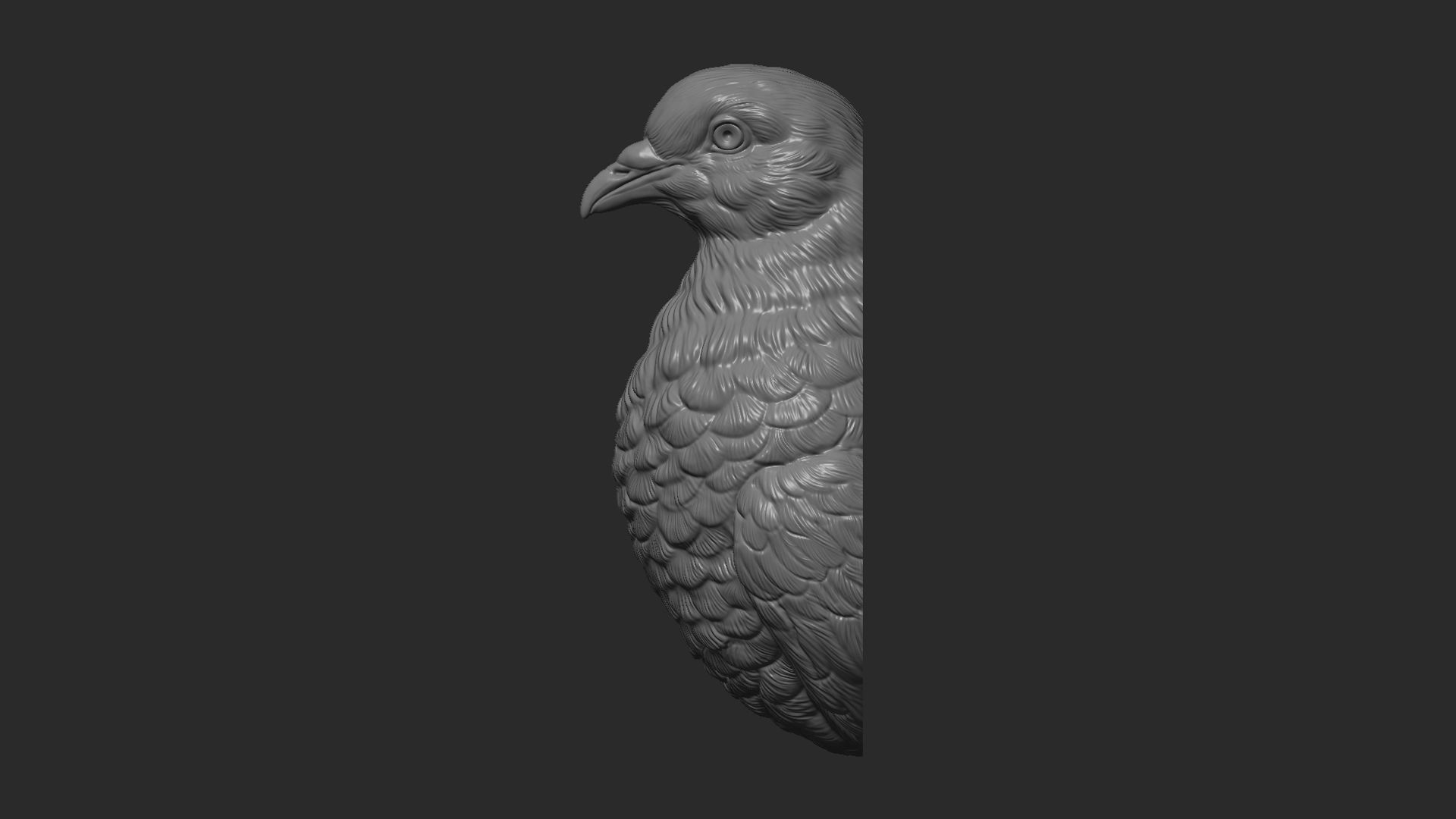 Pigeon bust 3D print model_12