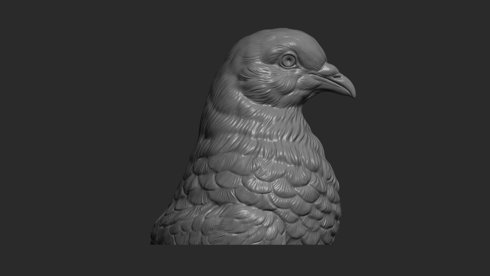 Pigeon bust 3D print model_8