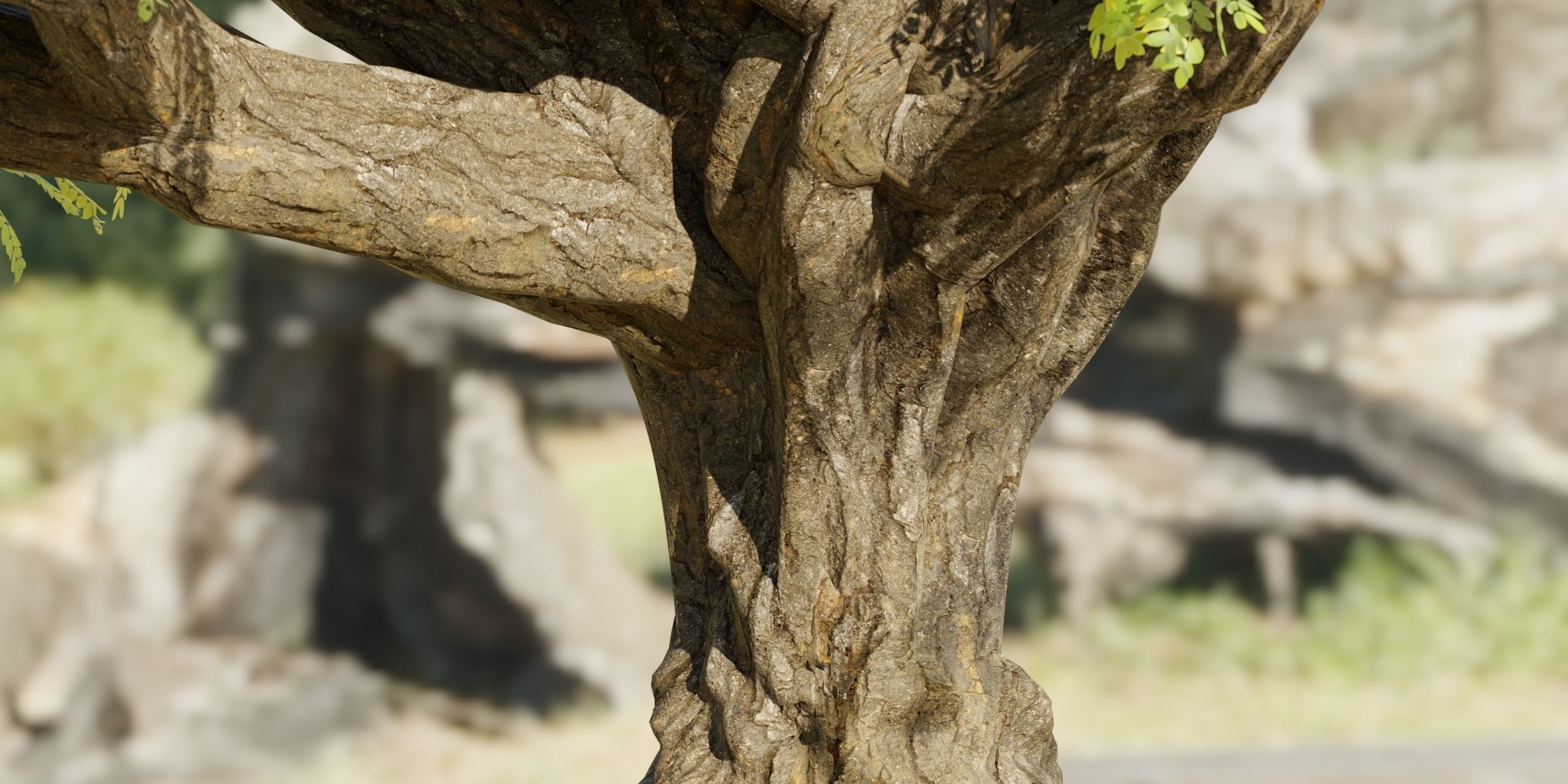 Tamarindus tree vol 207-Blender 3D model_2