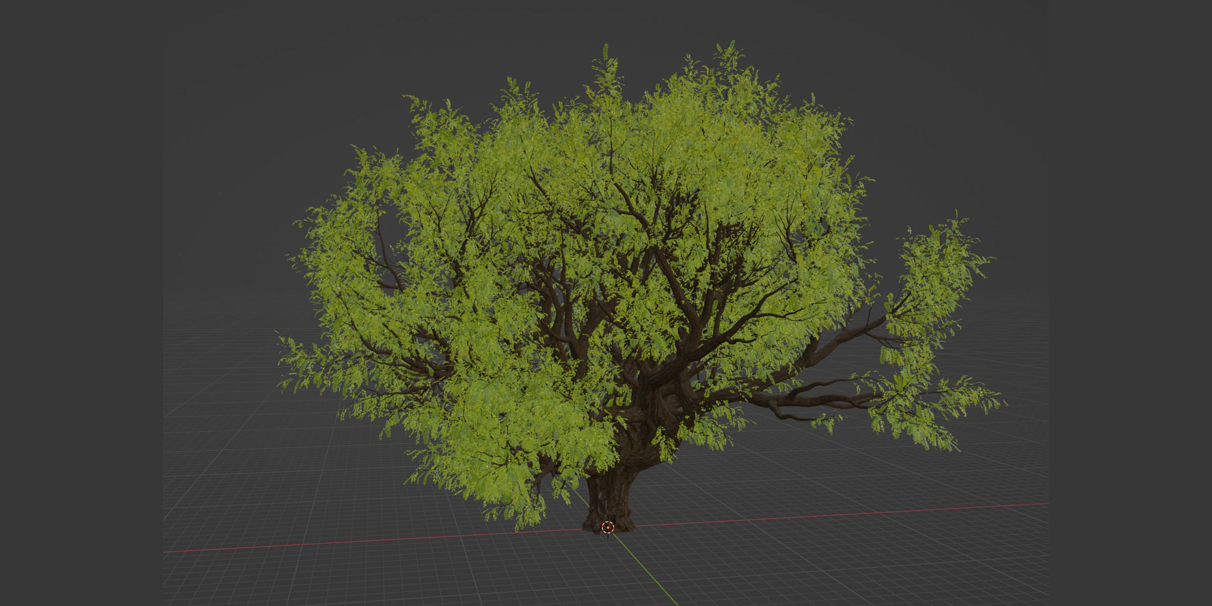 Tamarindus tree vol 207-Blender 3D model_5