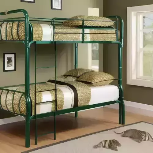 Furniture Bunk Beds Safari Theme