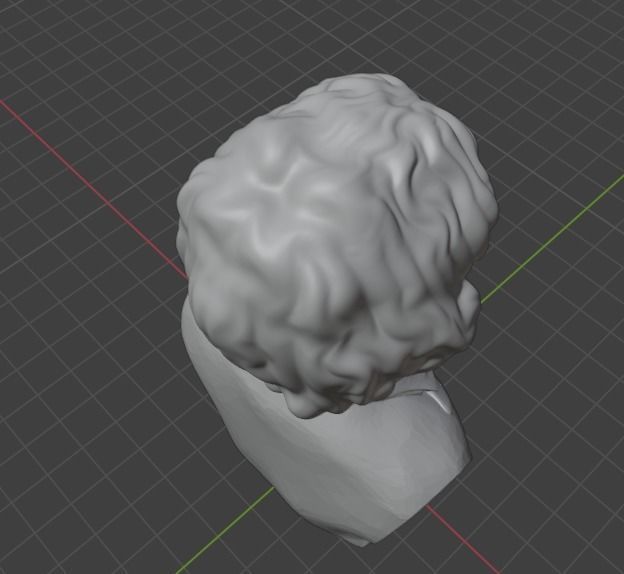 Rachel Carson 3D print model_4