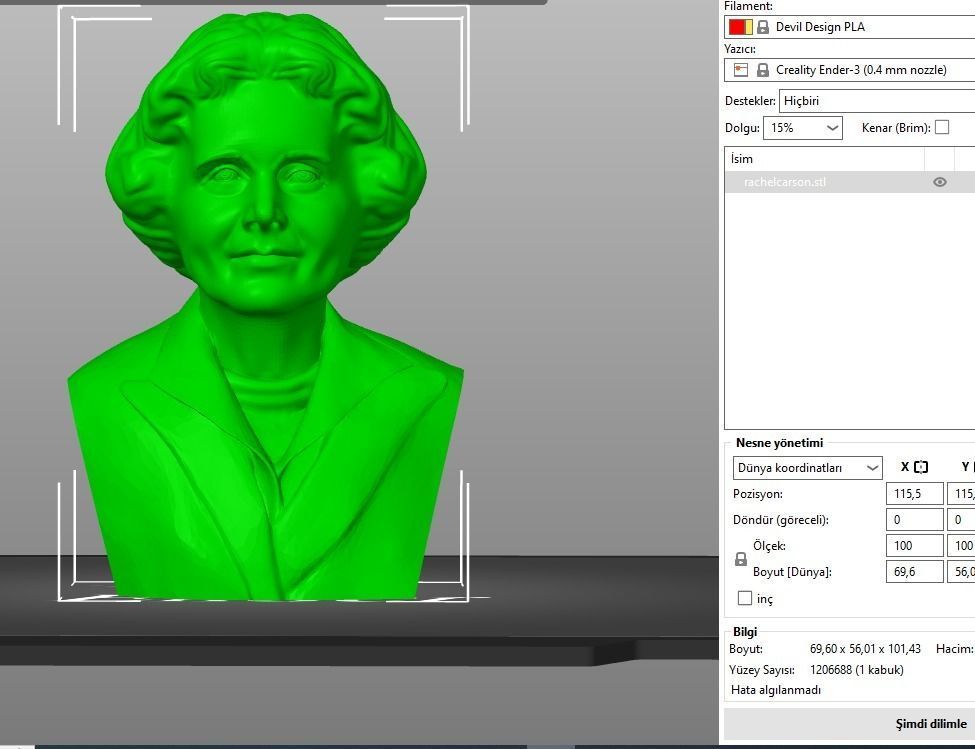Rachel Carson 3D print model_18