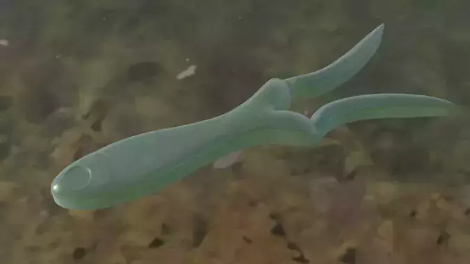 Frogsh Unleashed The Revolutionary Half-Fish Half-Frog Lure