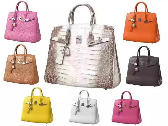 Hermes Birkin Bag  3D Model Collection