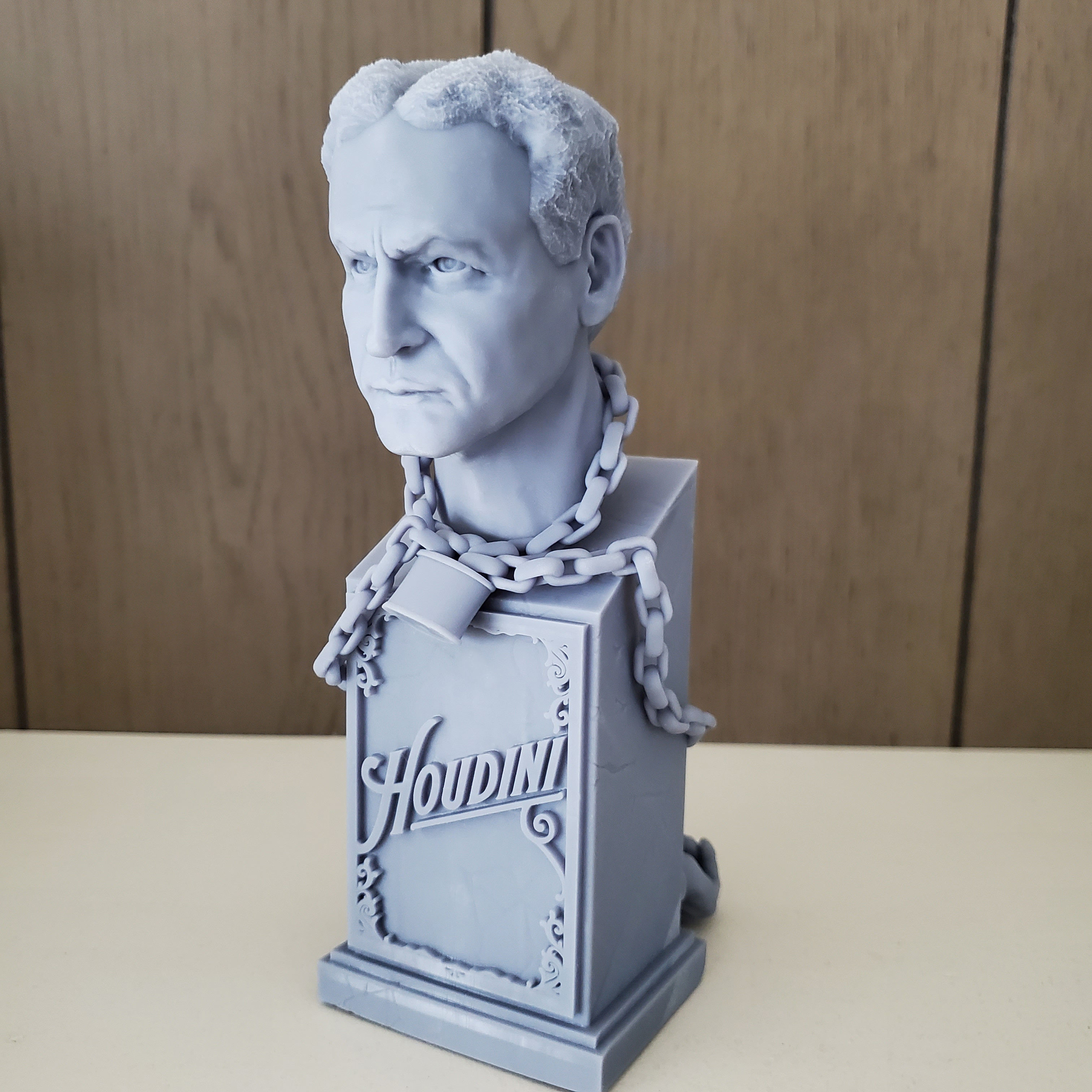 Houdini bust 3D print model_9