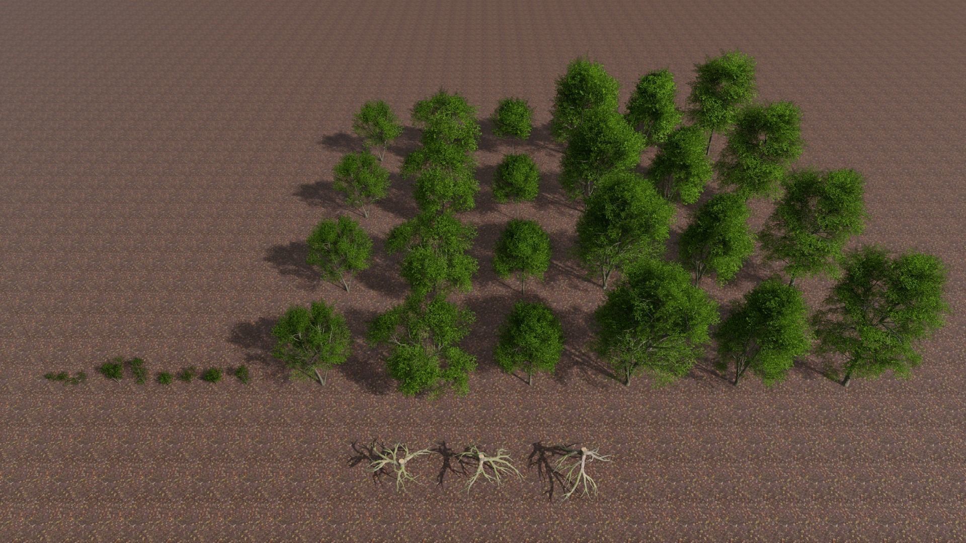 3D model Forest Tree Set VR / AR / low-poly | CGTrader