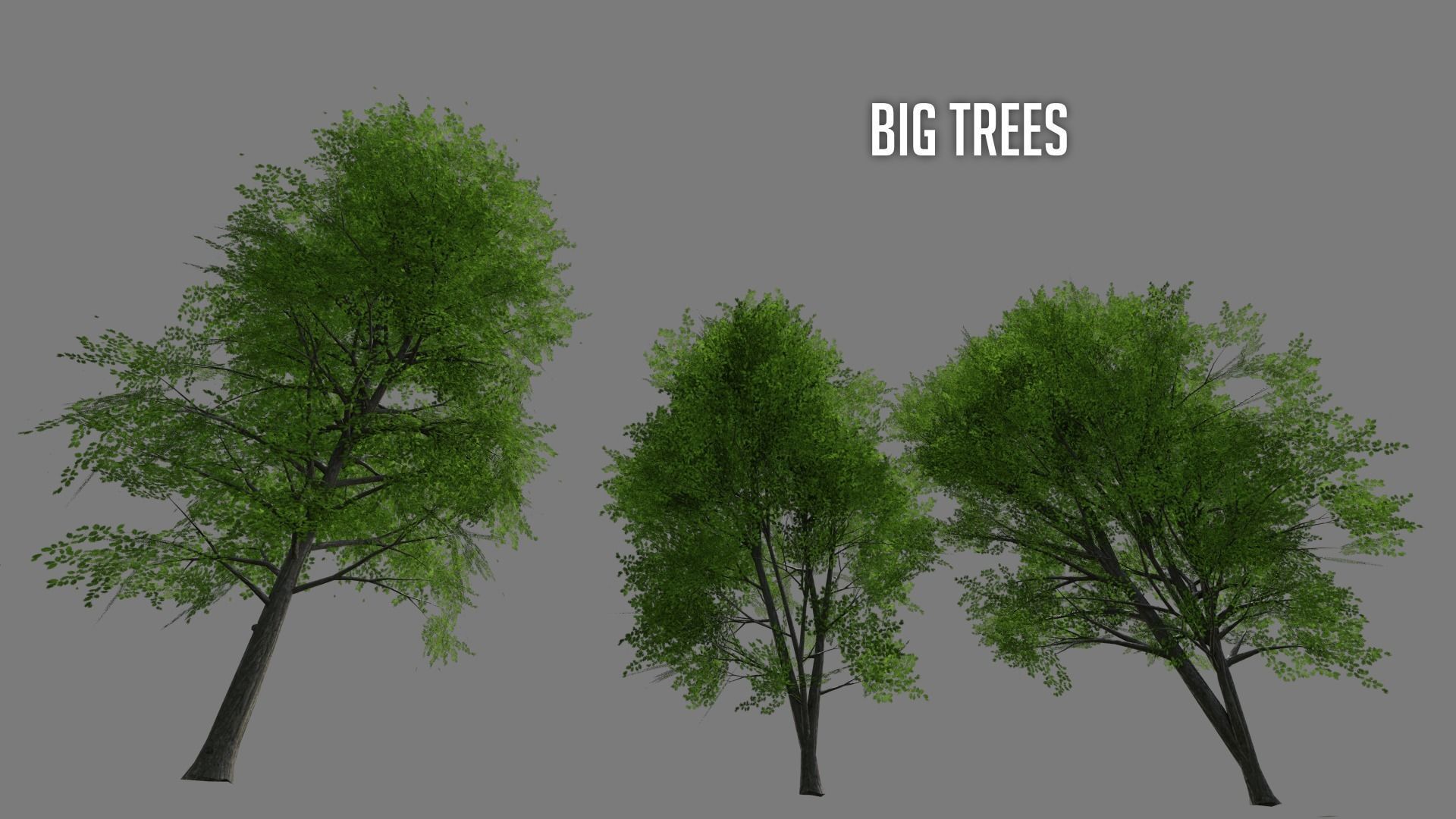 3D model Forest Tree Set VR / AR / low-poly | CGTrader