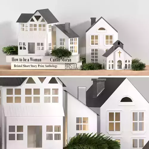 Decorative set house books eucalyptus