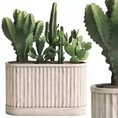  Cactus Set 02