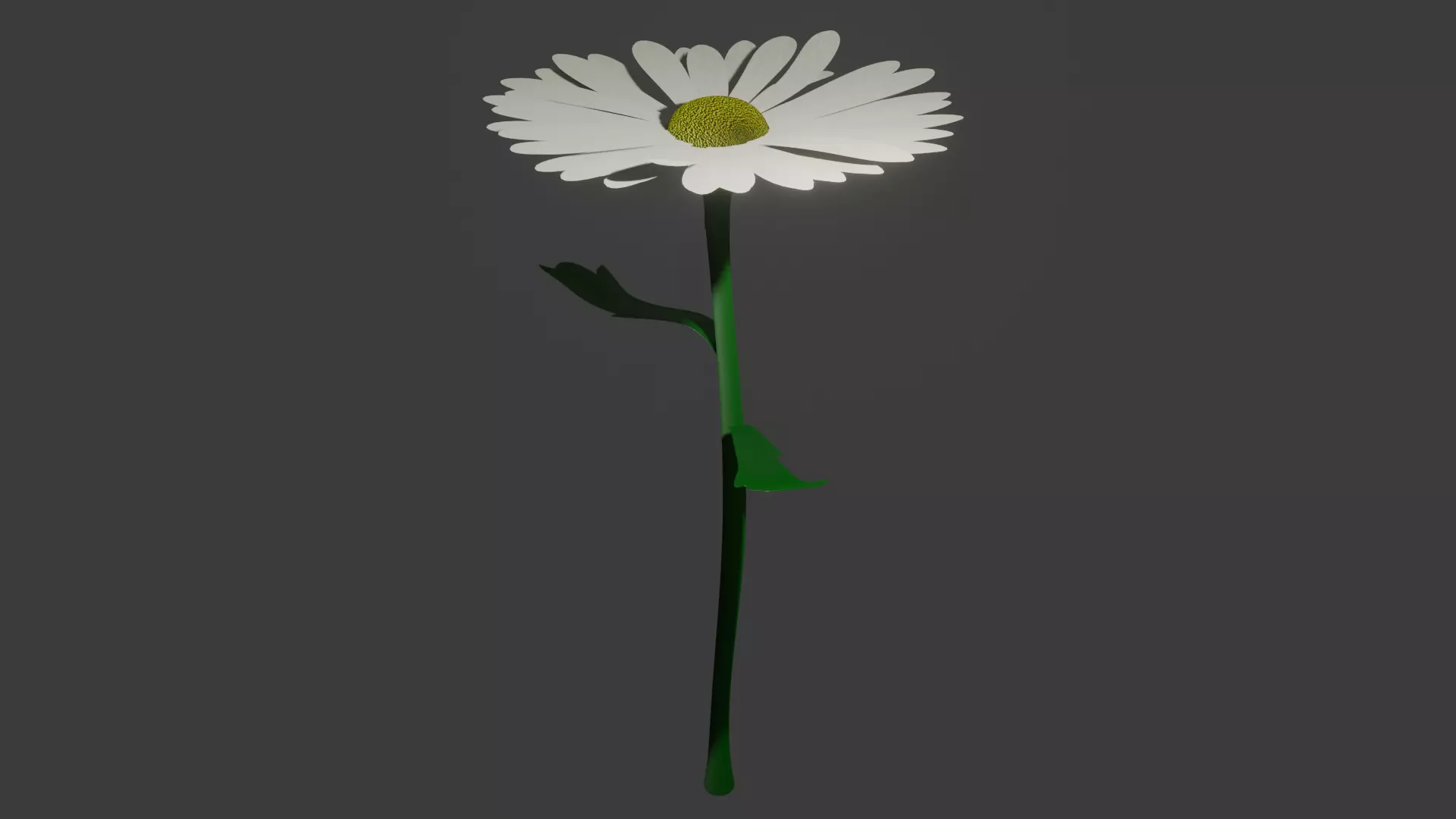 daisy flower Low-poly 3D model_0