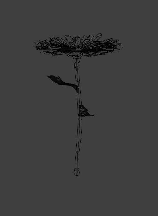 daisy flower Low-poly 3D model_2