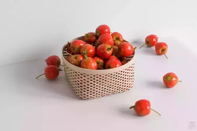 Apple 3D model