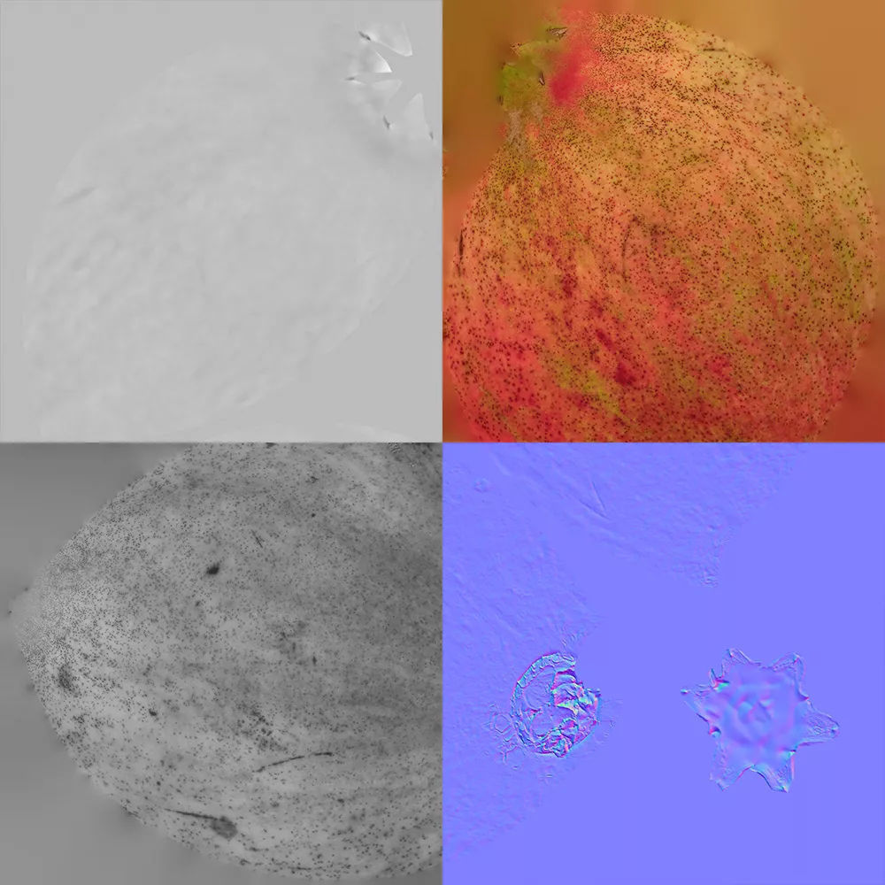 Pomegranate 005 3D model_8