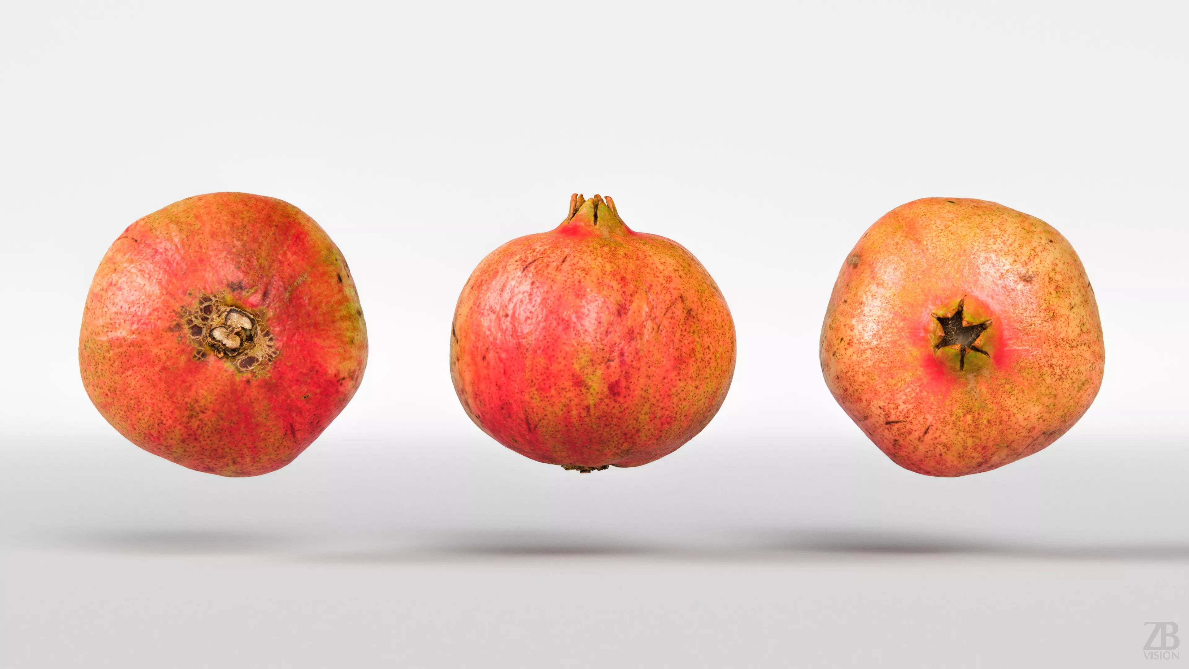 Pomegranate 005 3D model_4