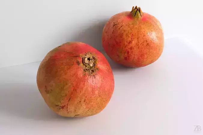 Pomegranate 005 3D model