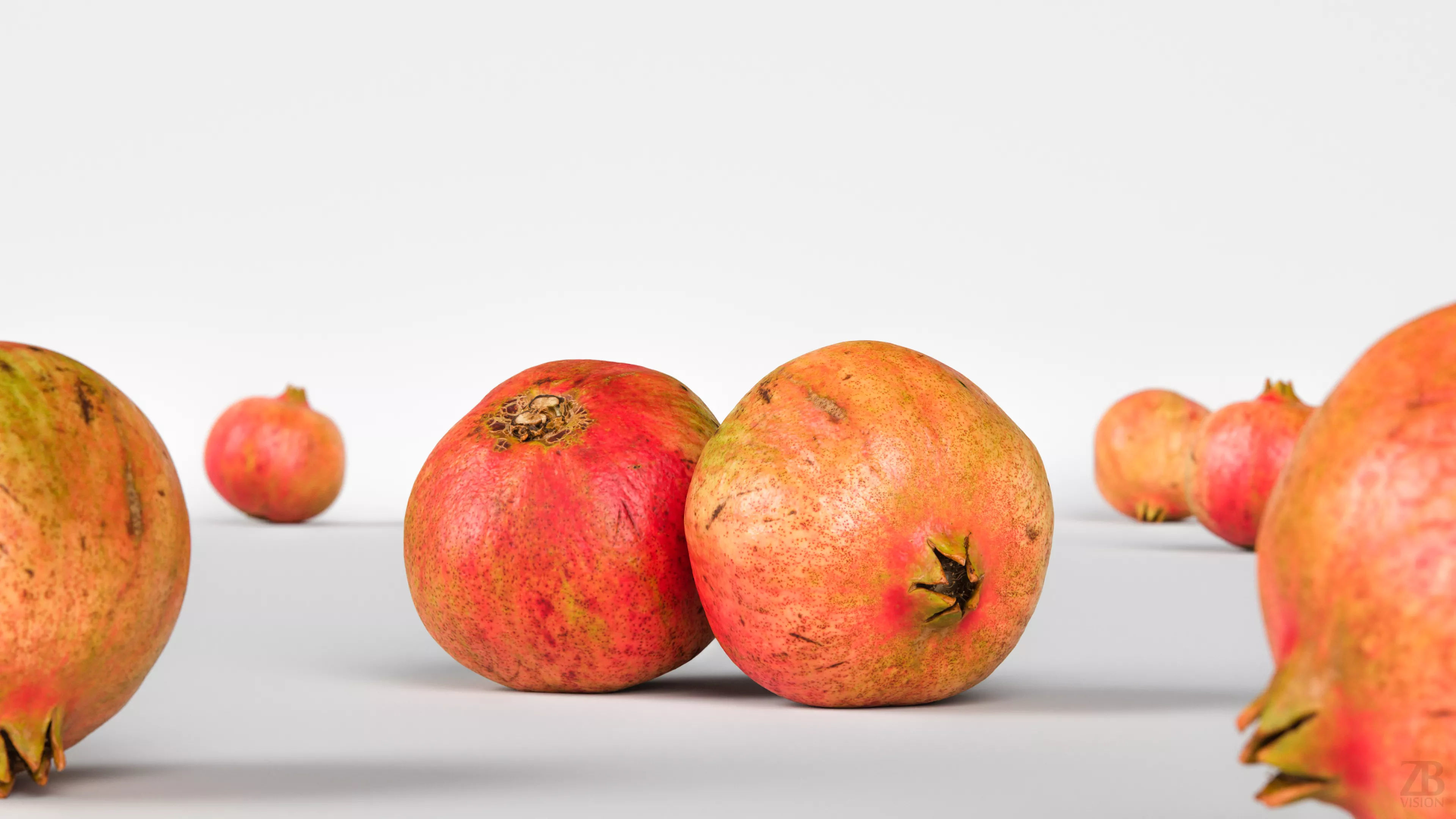 Pomegranate 005 3D model_1