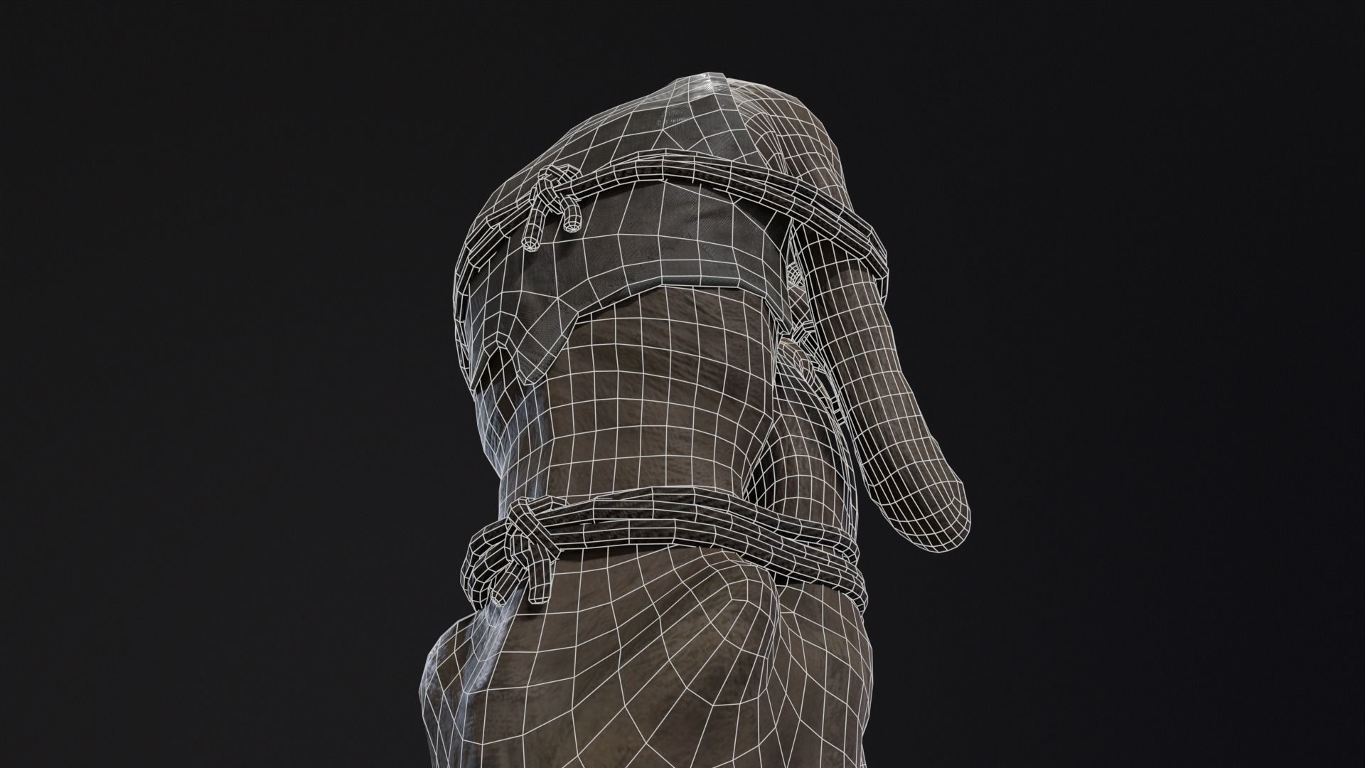 Mummified Corpse Tied Up Low-poly 3D model_17