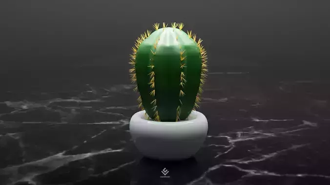 Realistic Cactus Plant 3D Model - Blender Cycles Render Low-poly 3D model