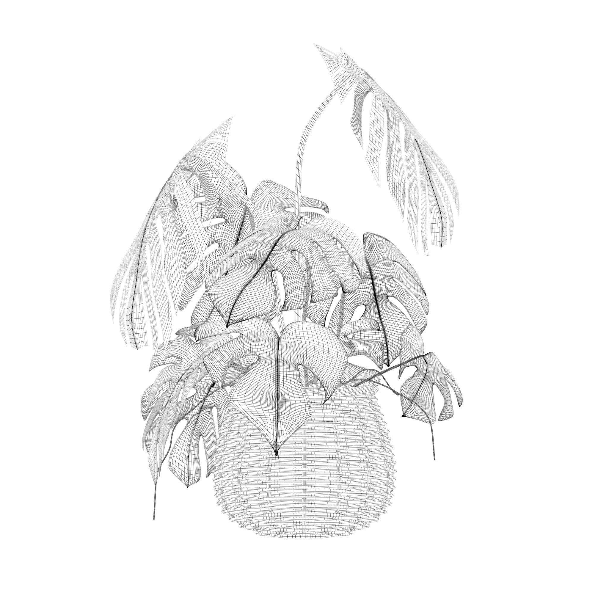 Monstera in rattan flower pot 3D model_1