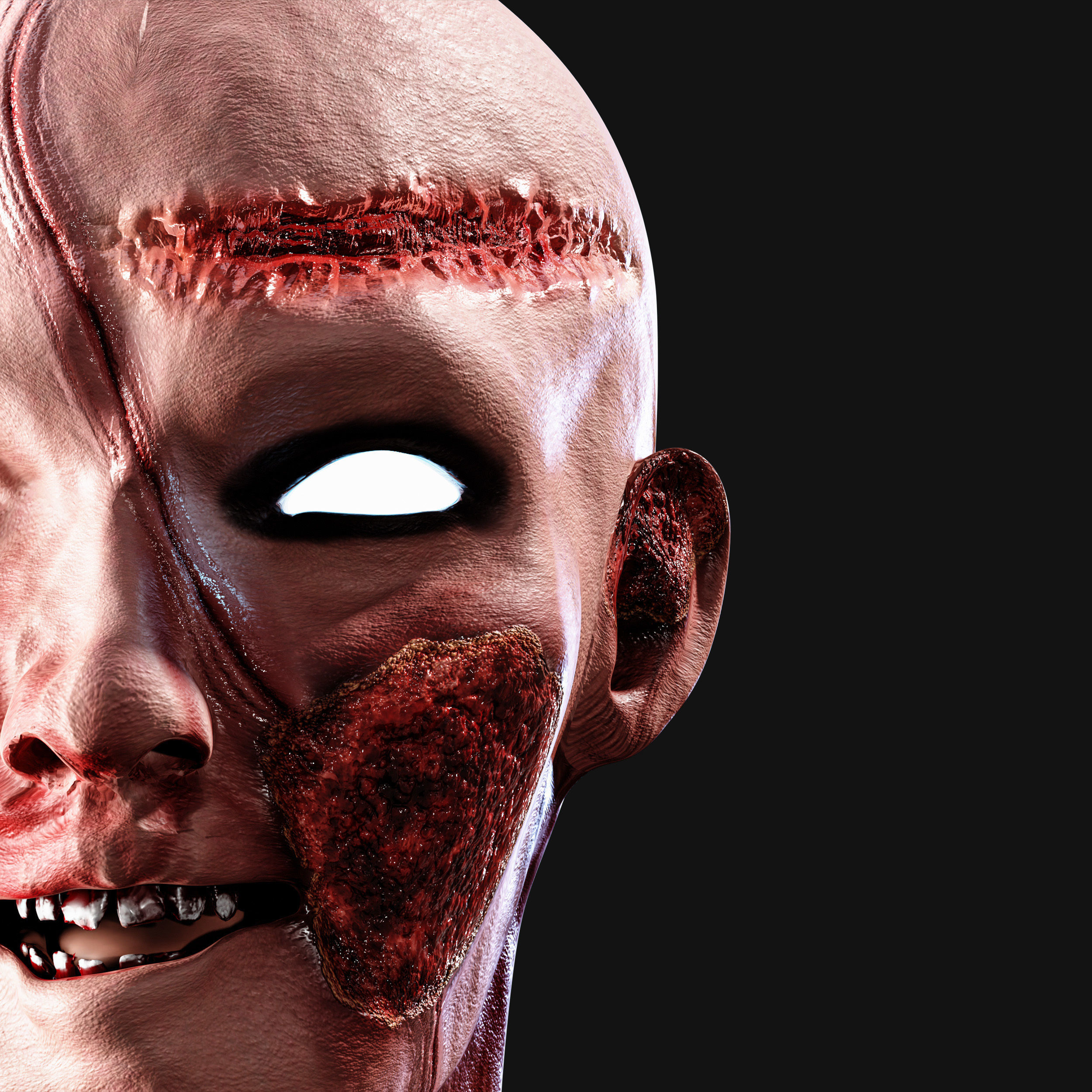 Wounded skin material  SBS -SBSR- PBR Texture_3