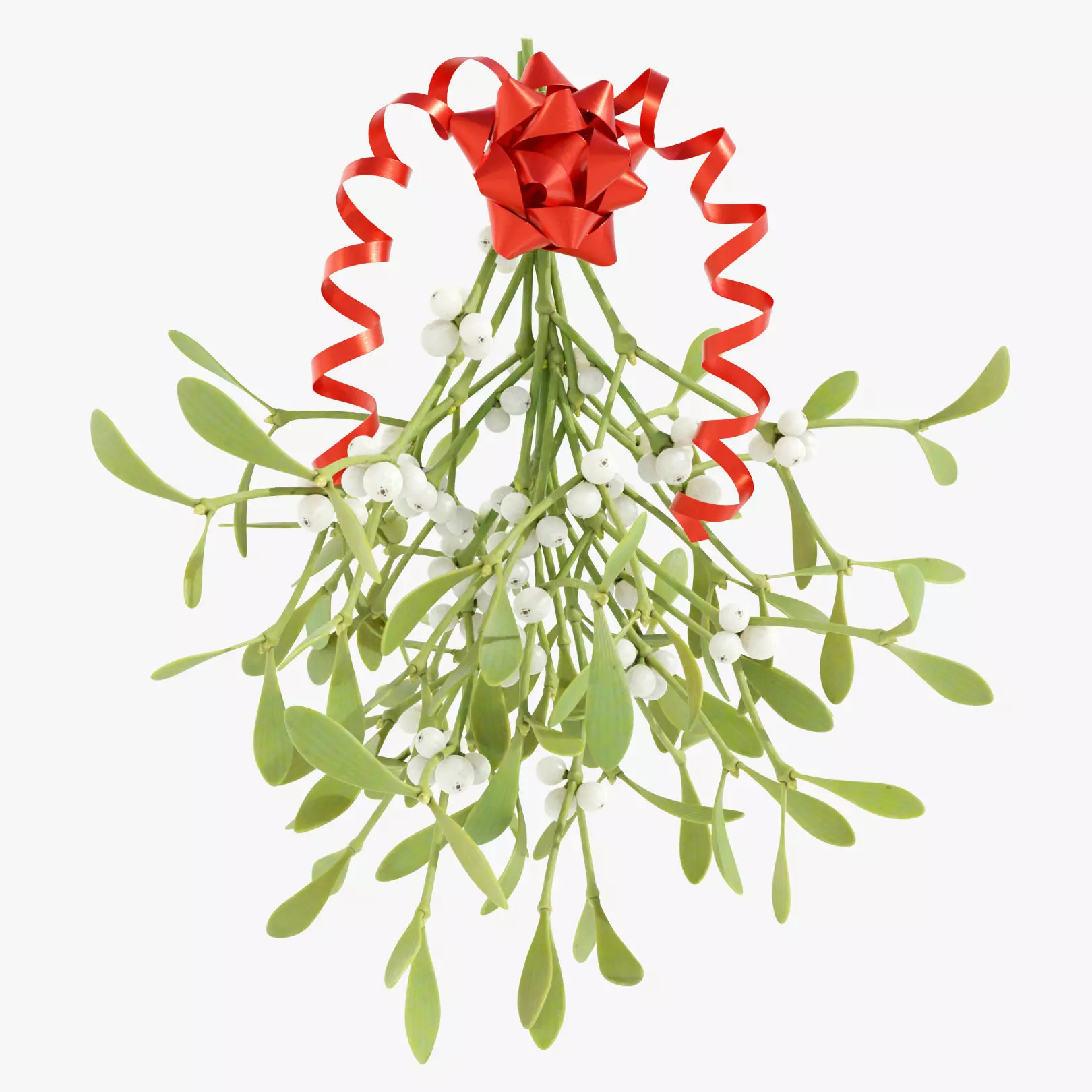 Mistletoe Bunch 3D model_0