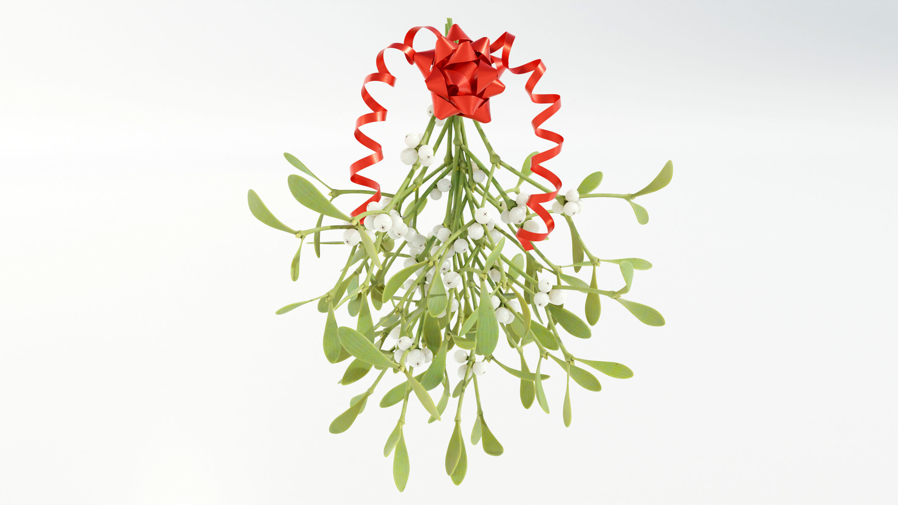 Mistletoe Bunch 3D model_6