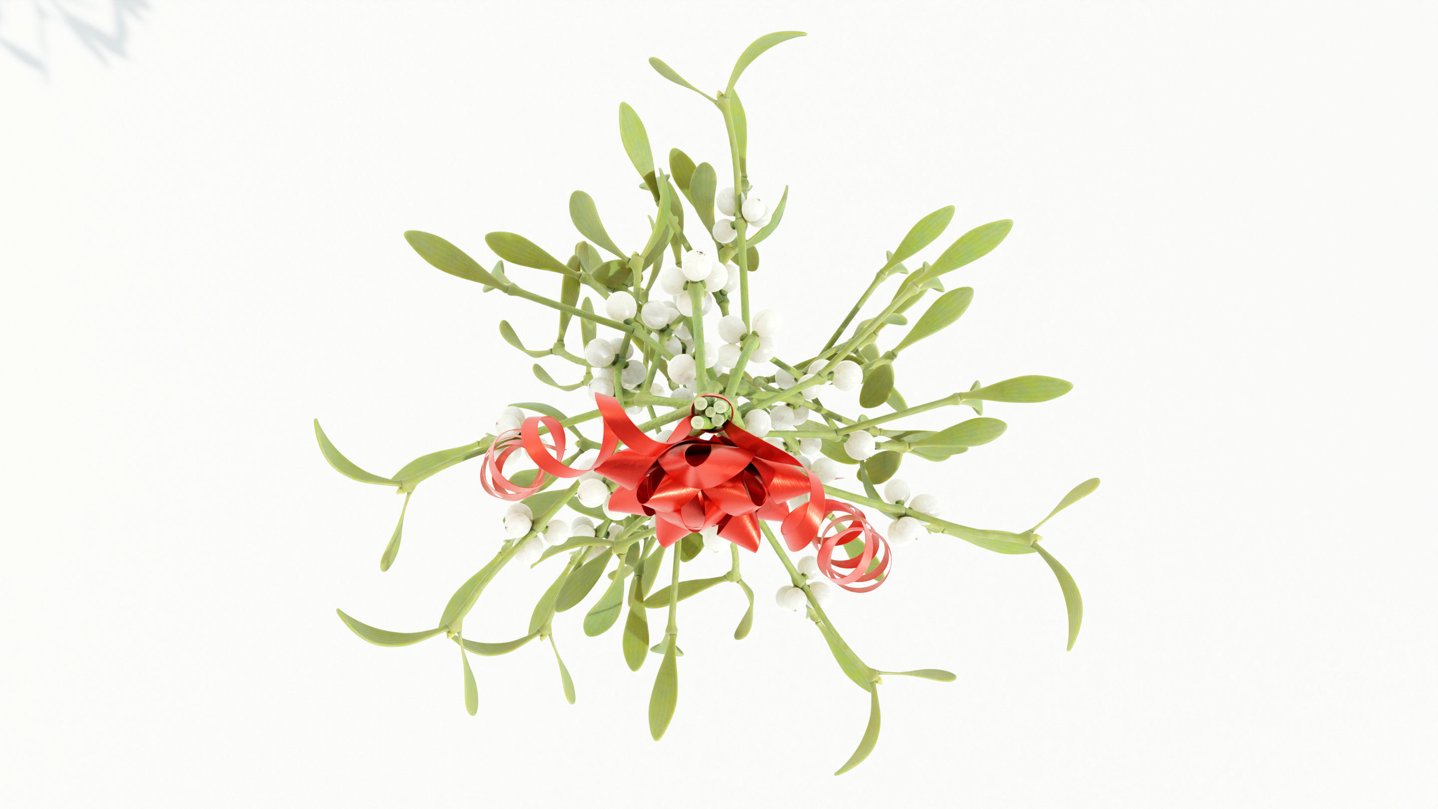 Mistletoe Bunch 3D model_10