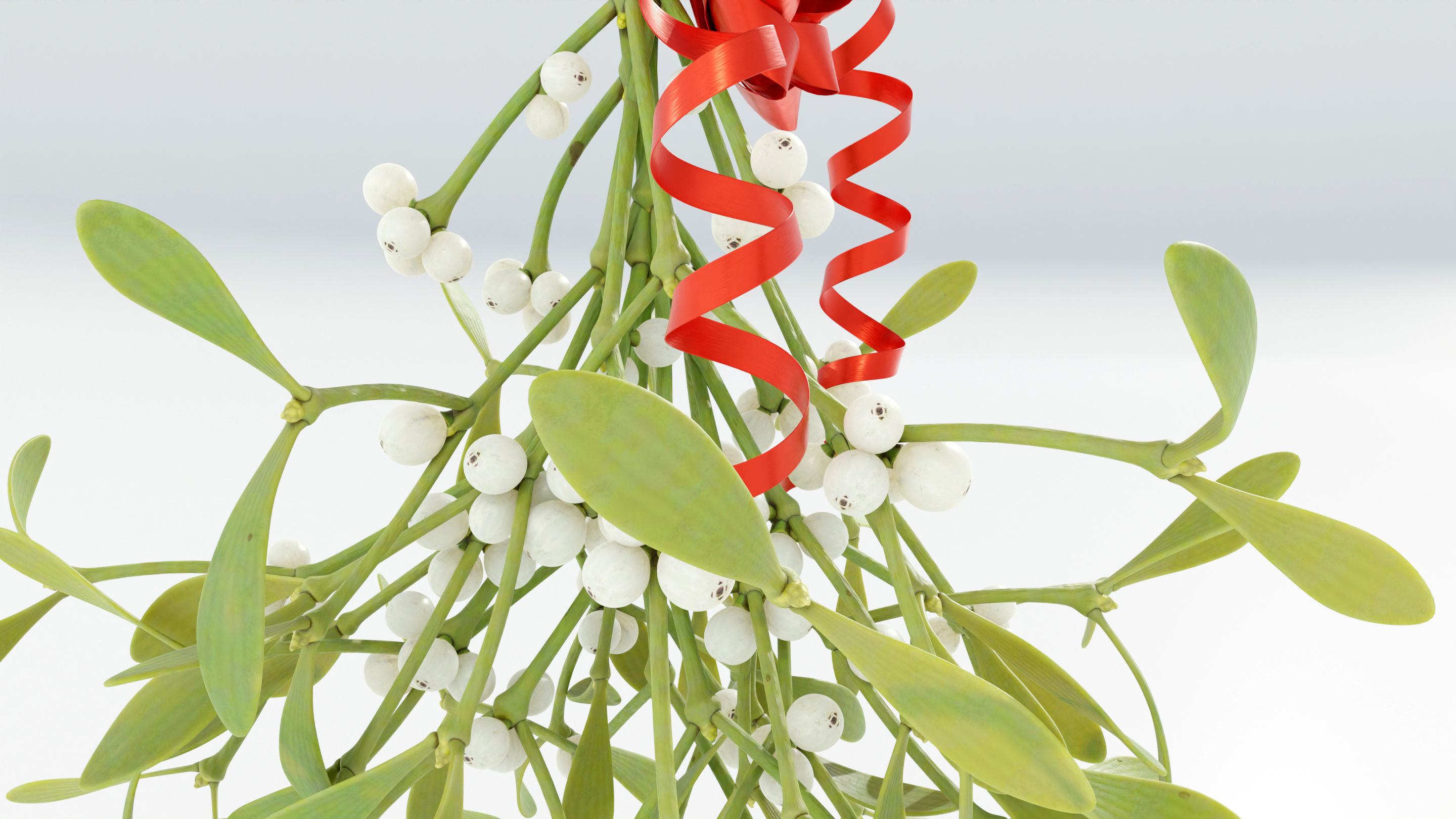Mistletoe Bunch 3D model_9