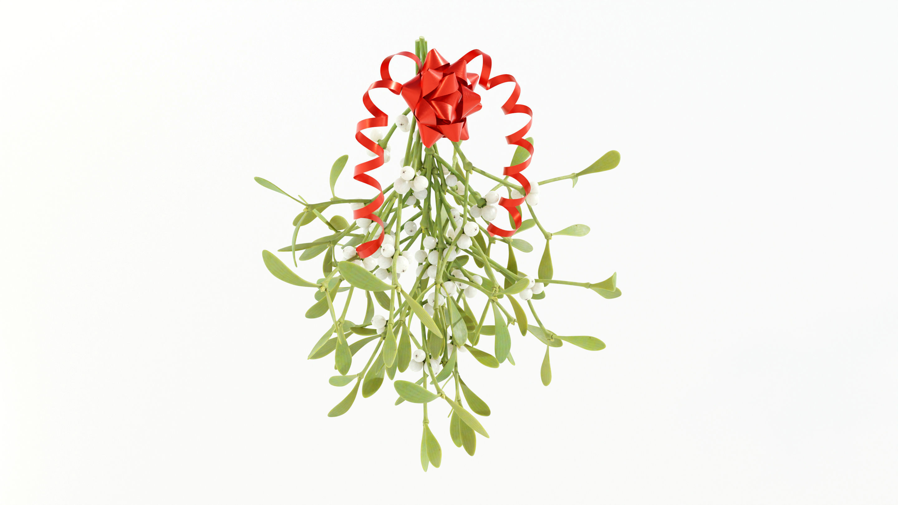 Mistletoe Bunch 3D model_2