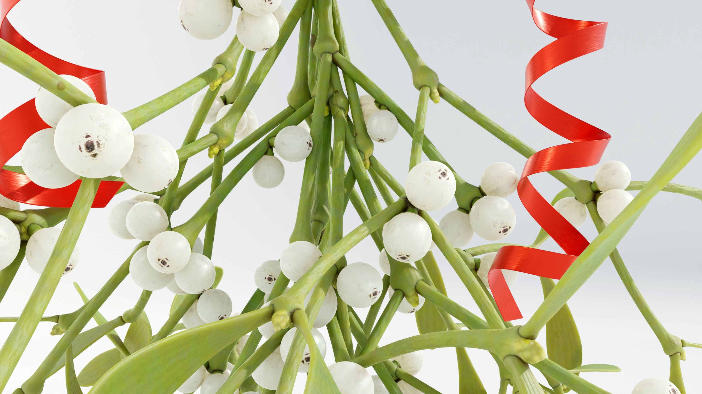 Mistletoe Bunch 3D model_8