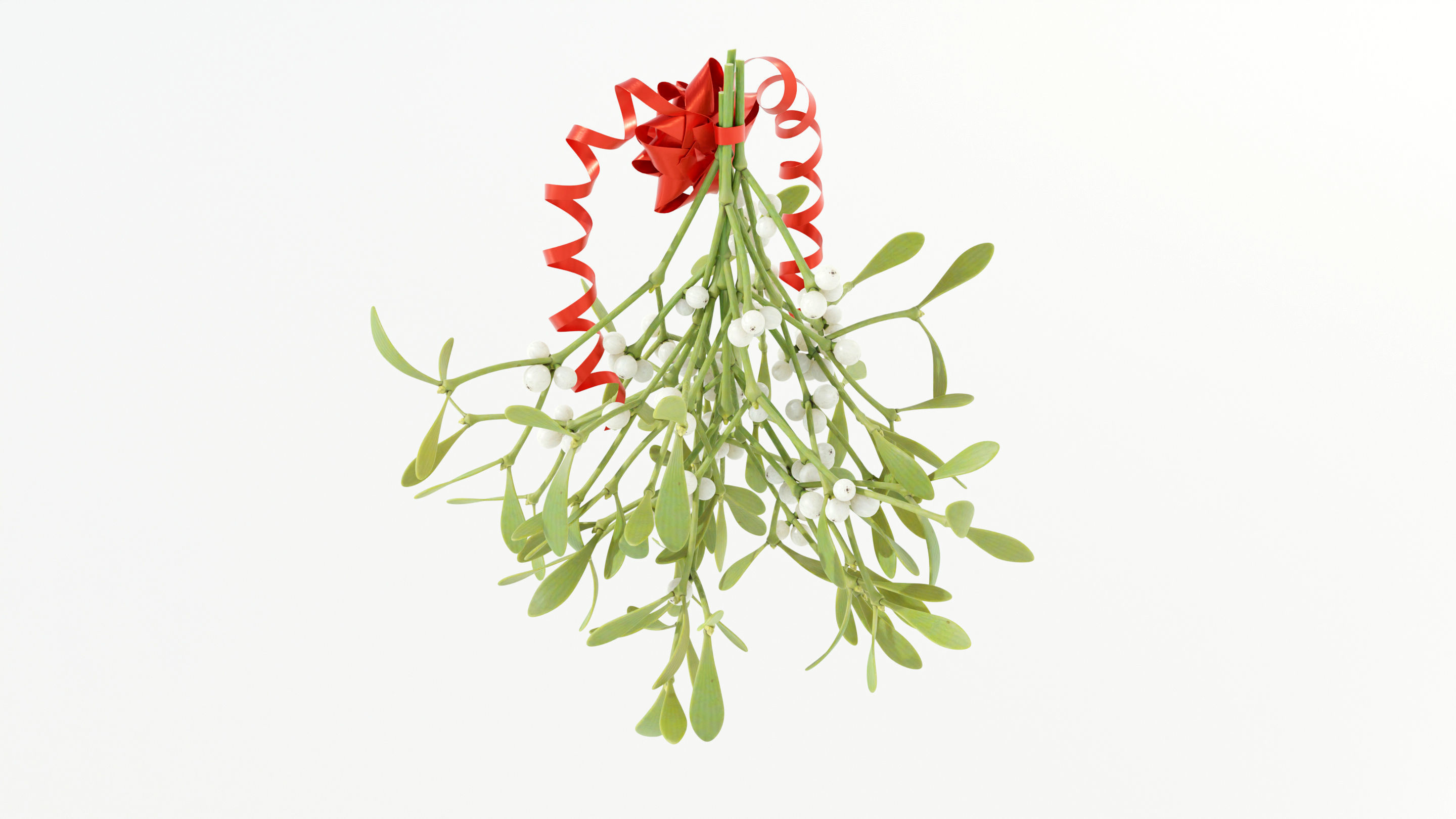 Mistletoe Bunch 3D model_4