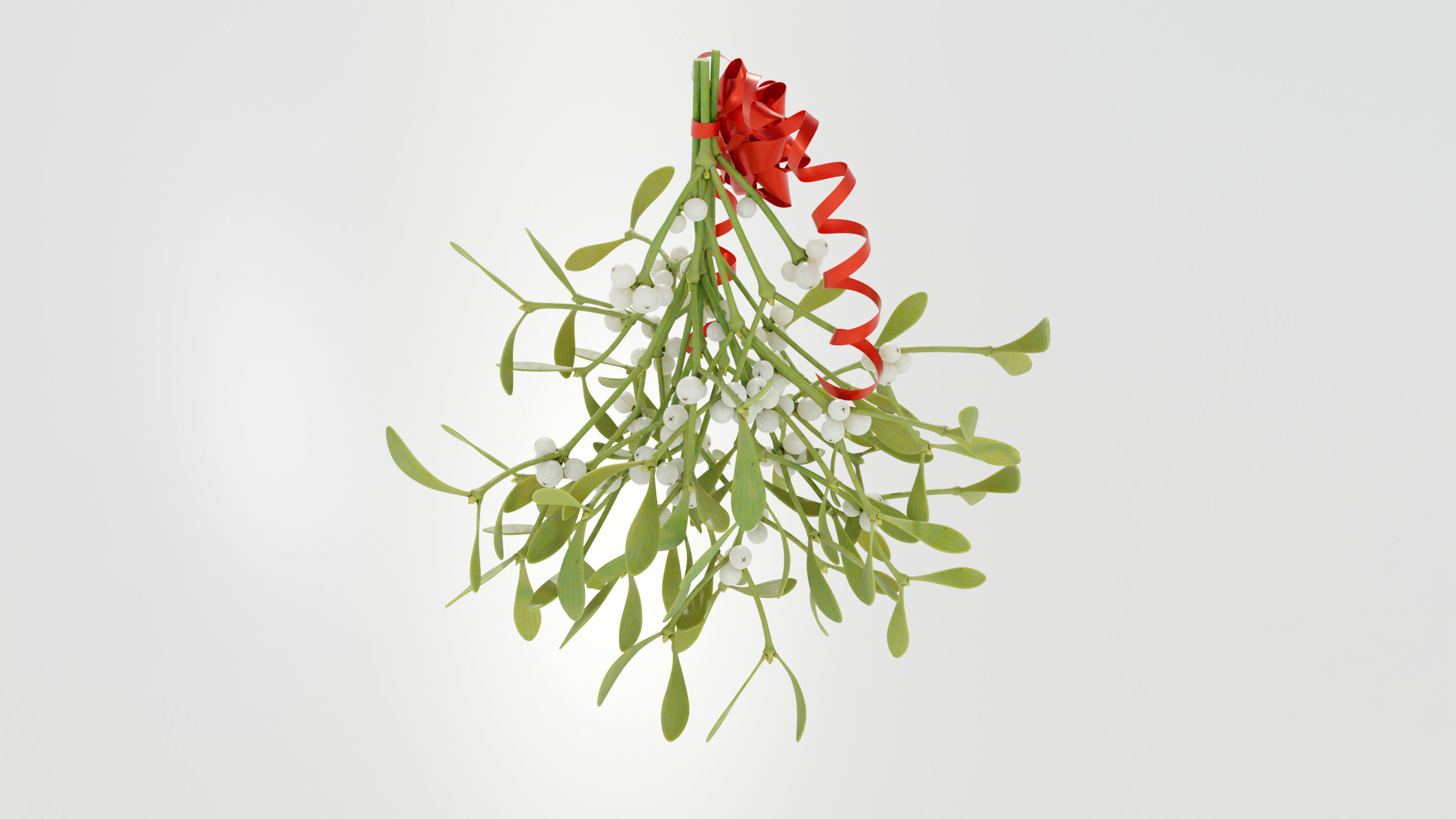 Mistletoe Bunch 3D model_5