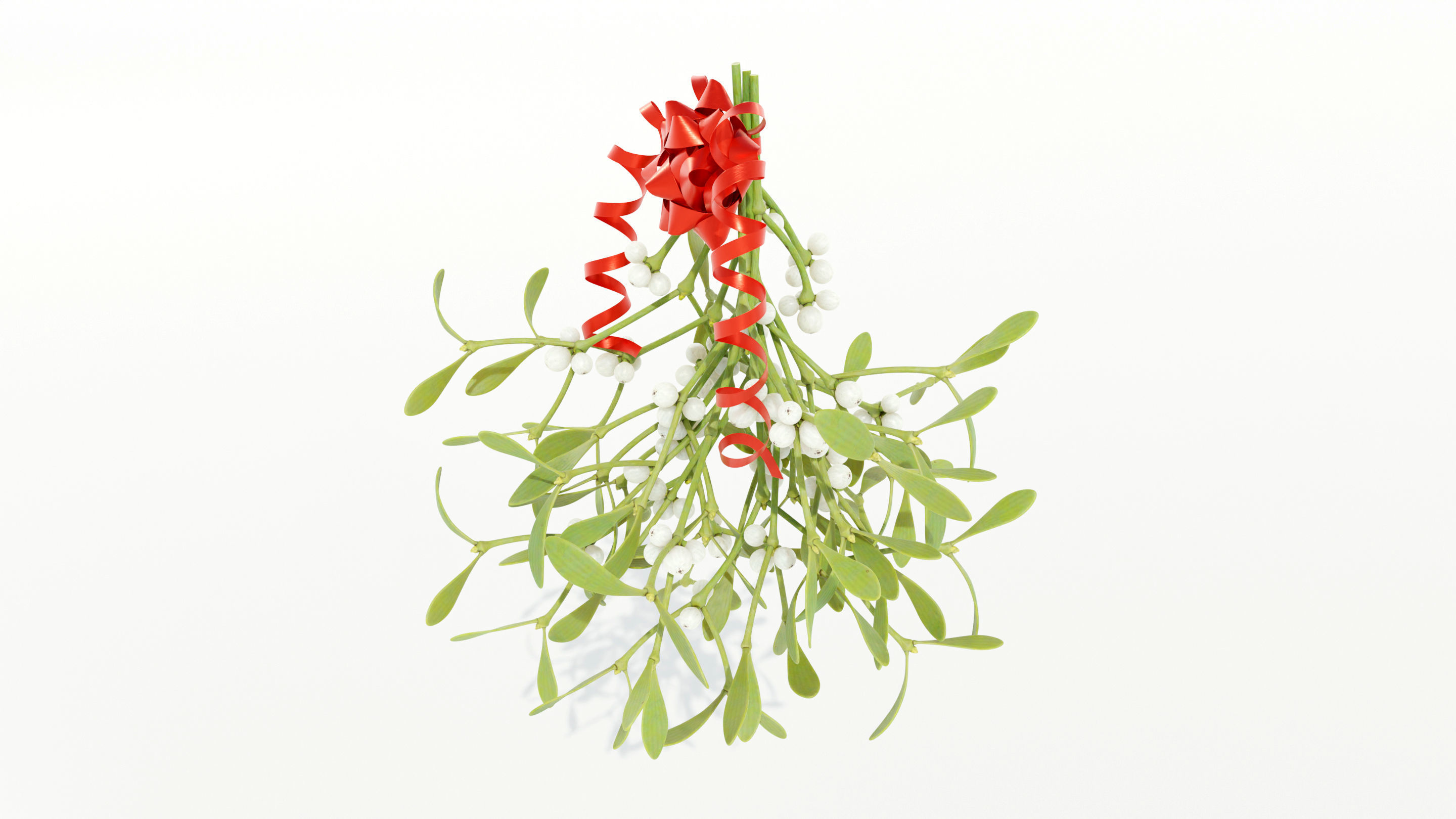 Mistletoe Bunch 3D model_3