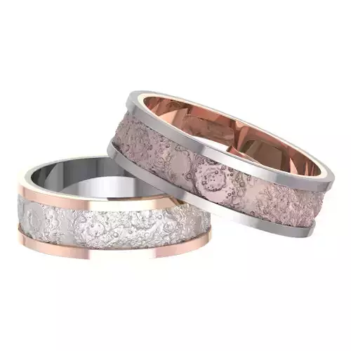 Wedding rings The Moon ground 