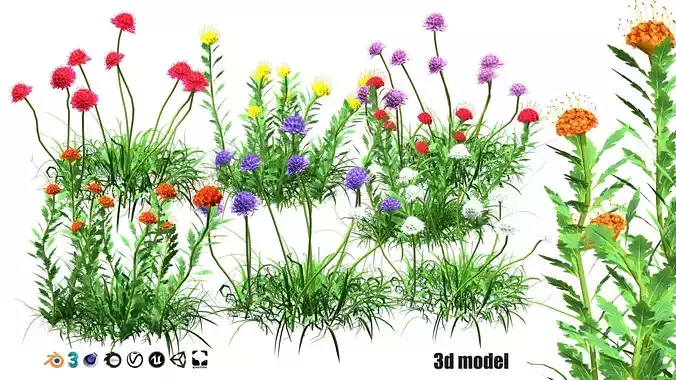 colorful Pincushion Flowers 3d pack  Low-poly 3D model