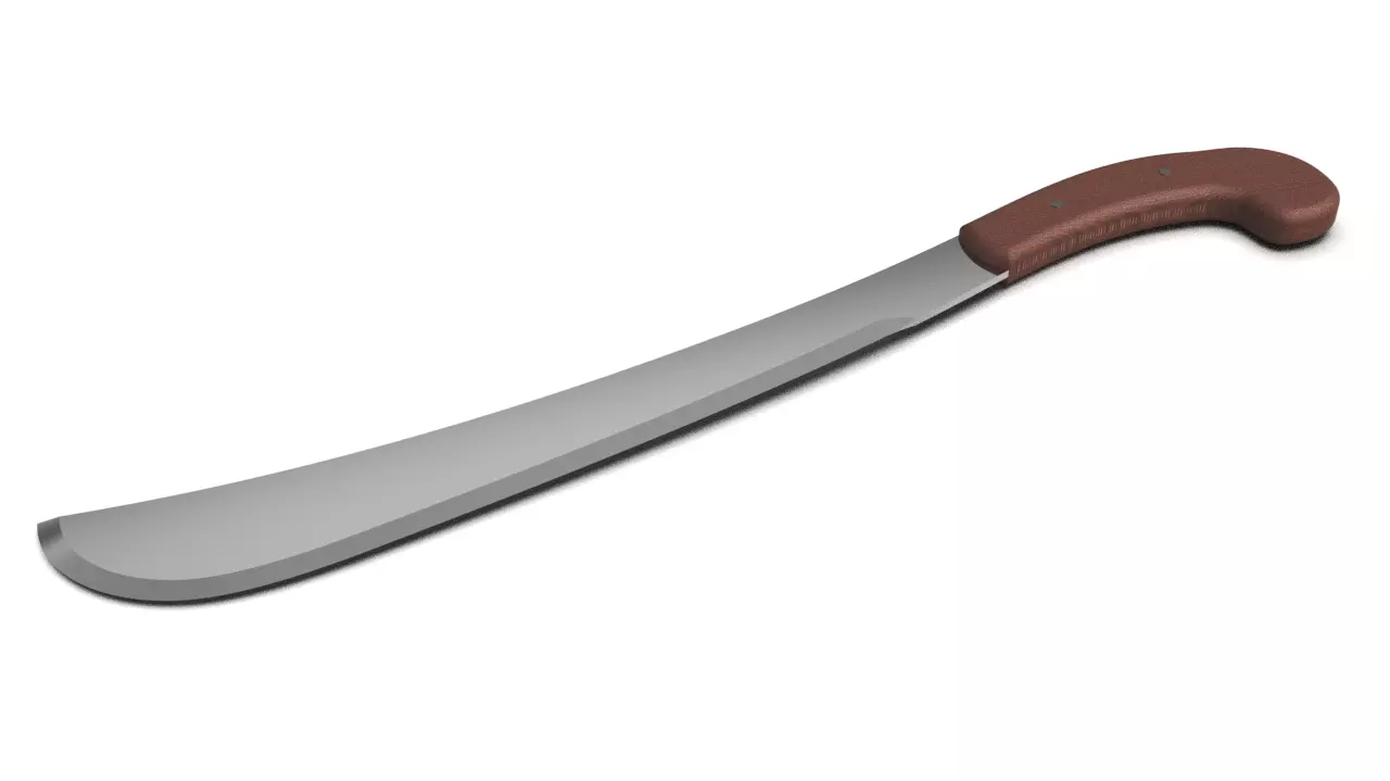 Machet 3D model_0