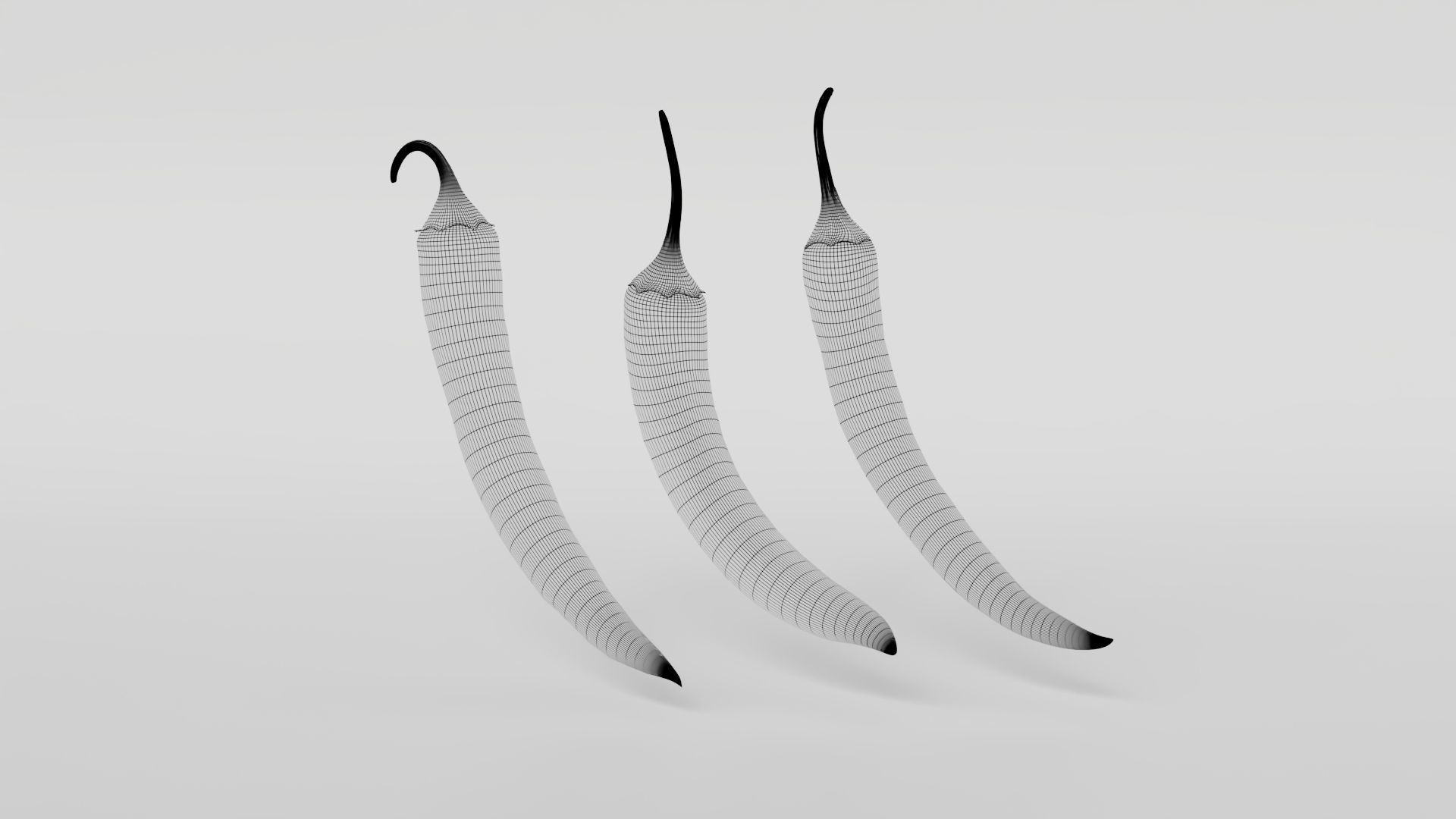 Chili pepper  3D model_18