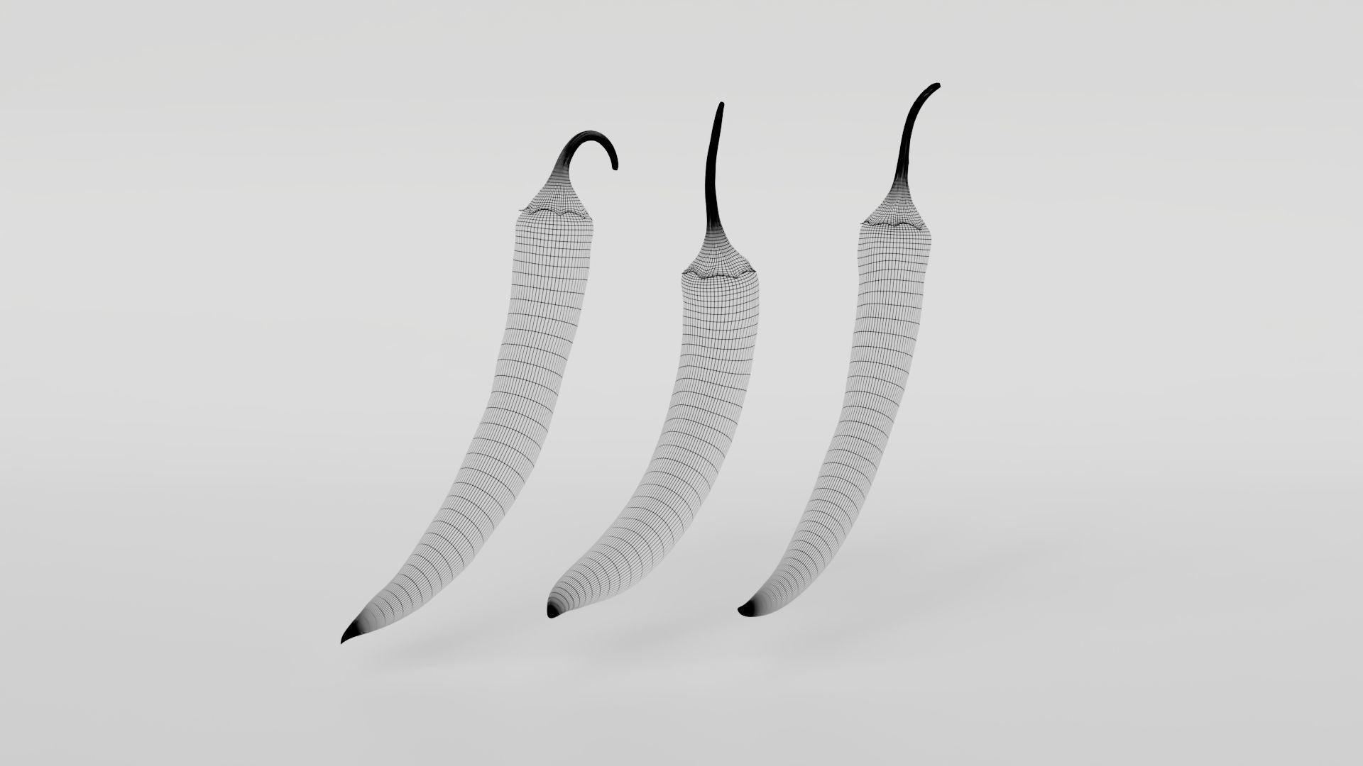 Chili pepper  3D model_12