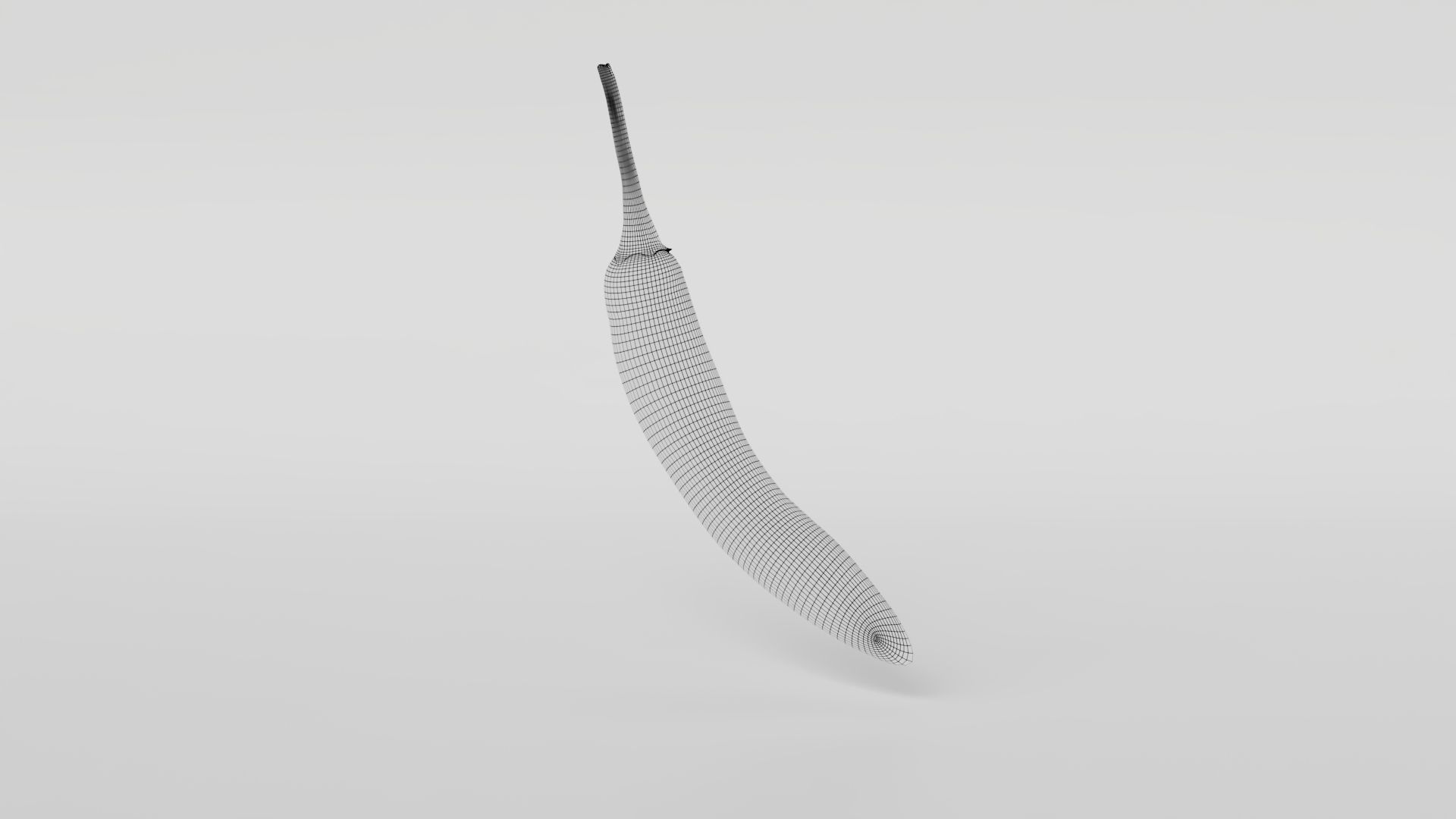 Chili pepper  3D model_22