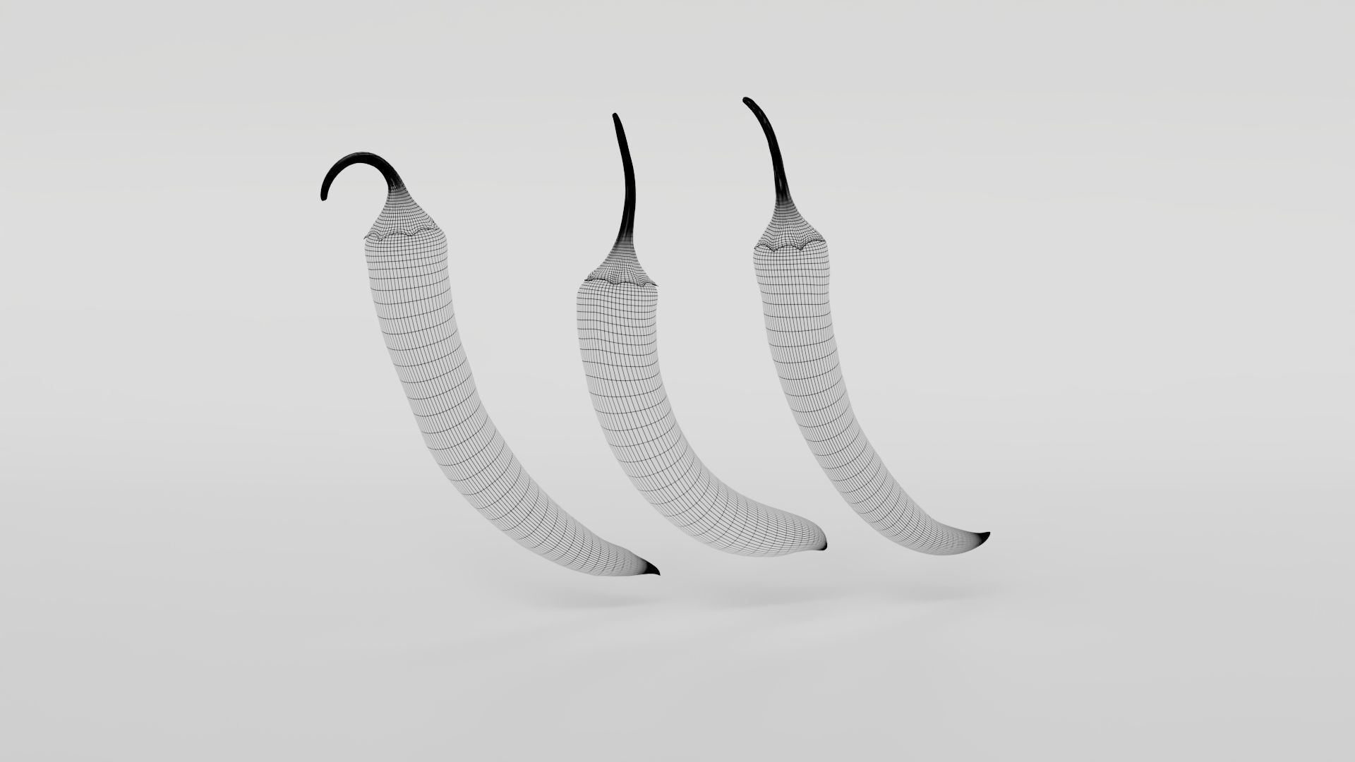 Chili pepper  3D model_16