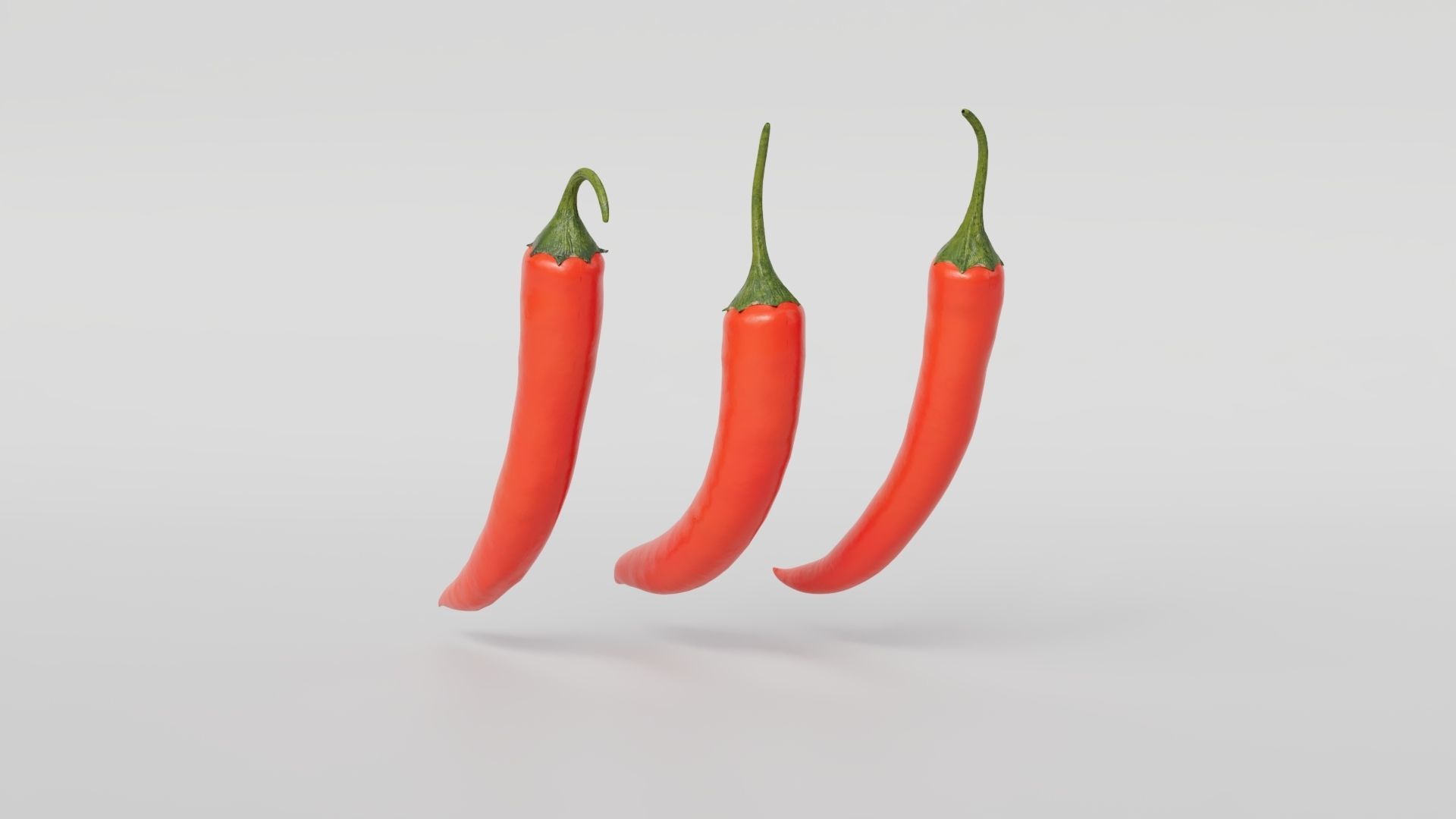 Chili pepper  3D model_13