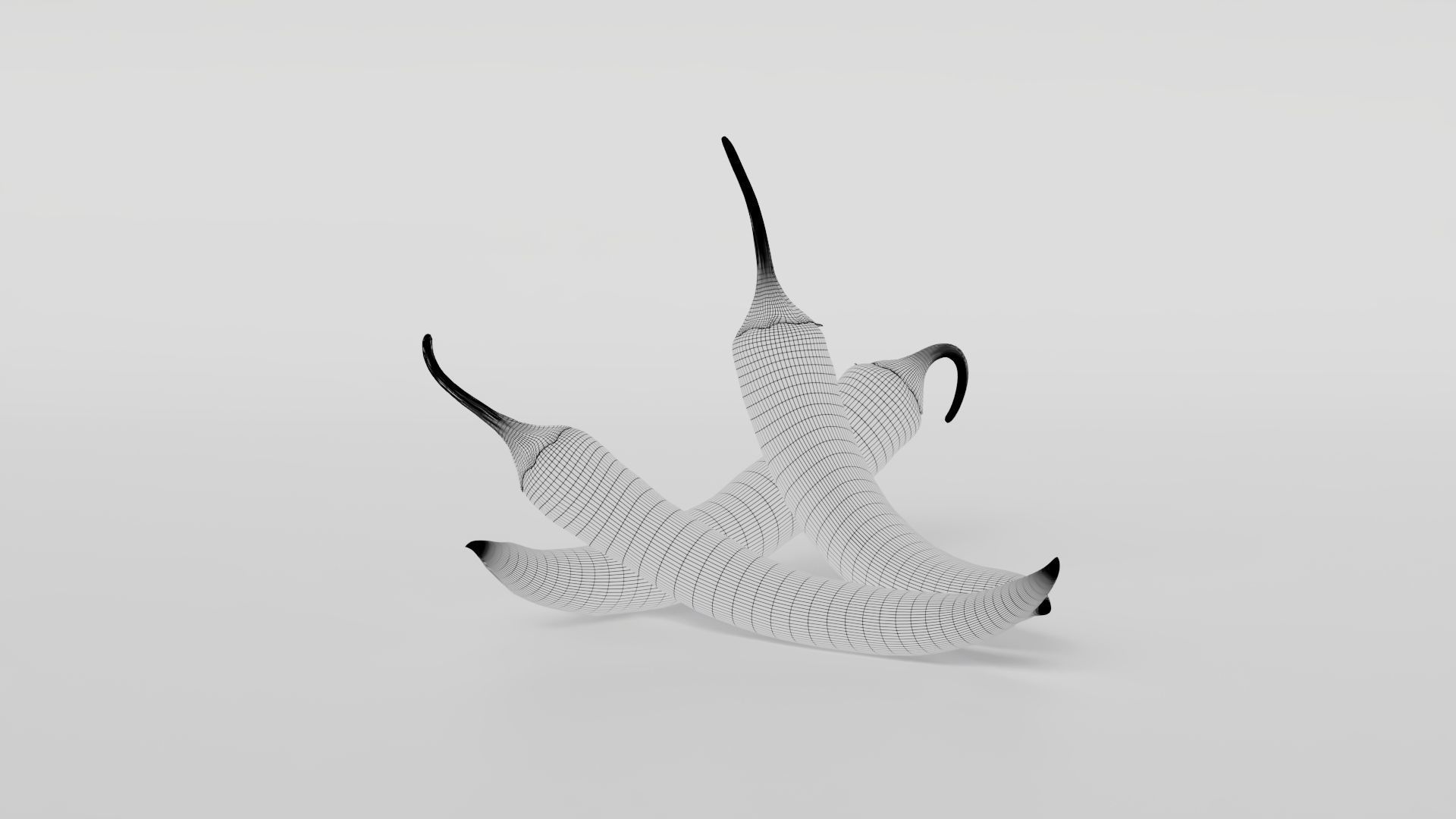 Chili pepper  3D model_4