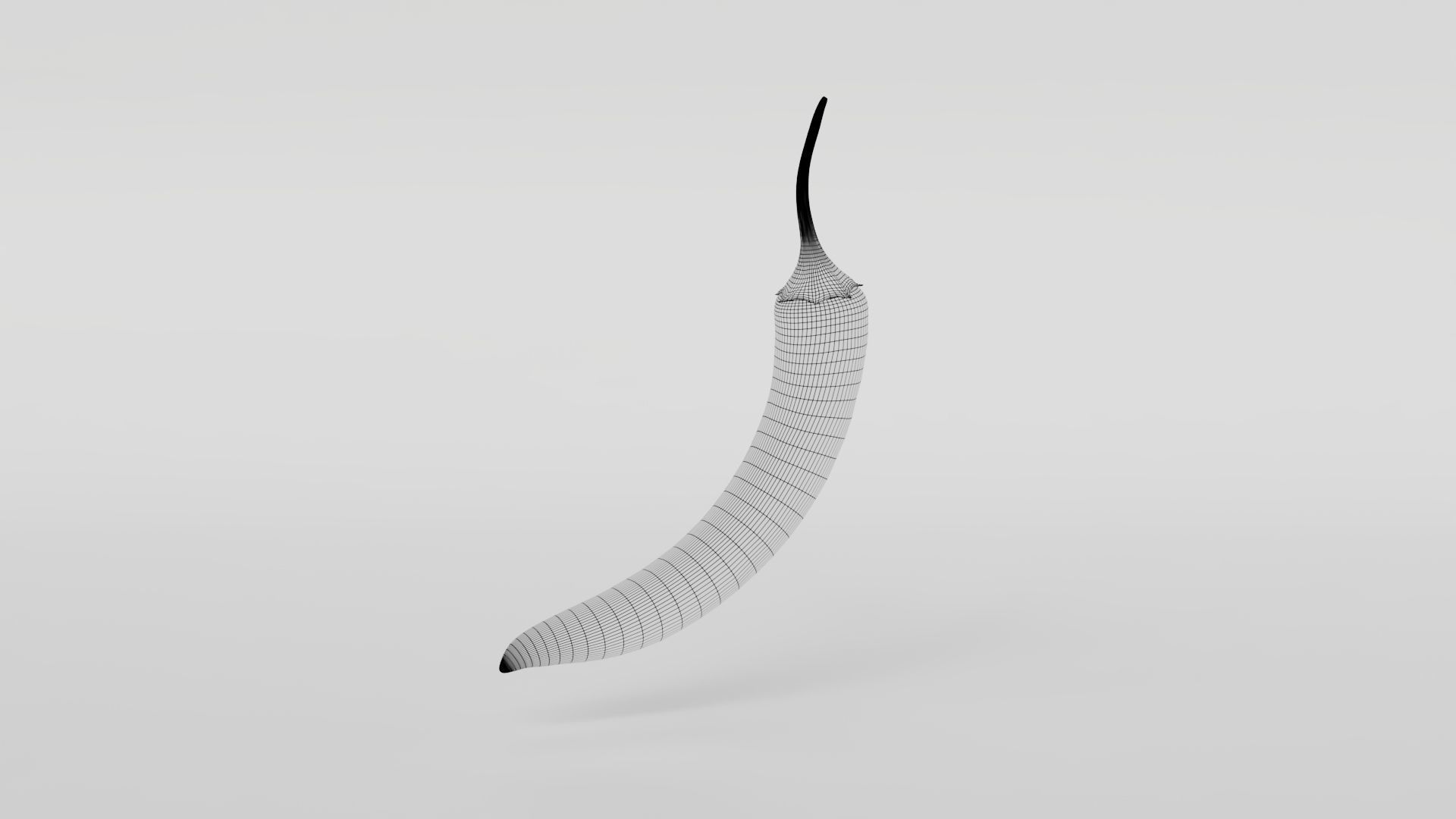 Chili pepper  3D model_10