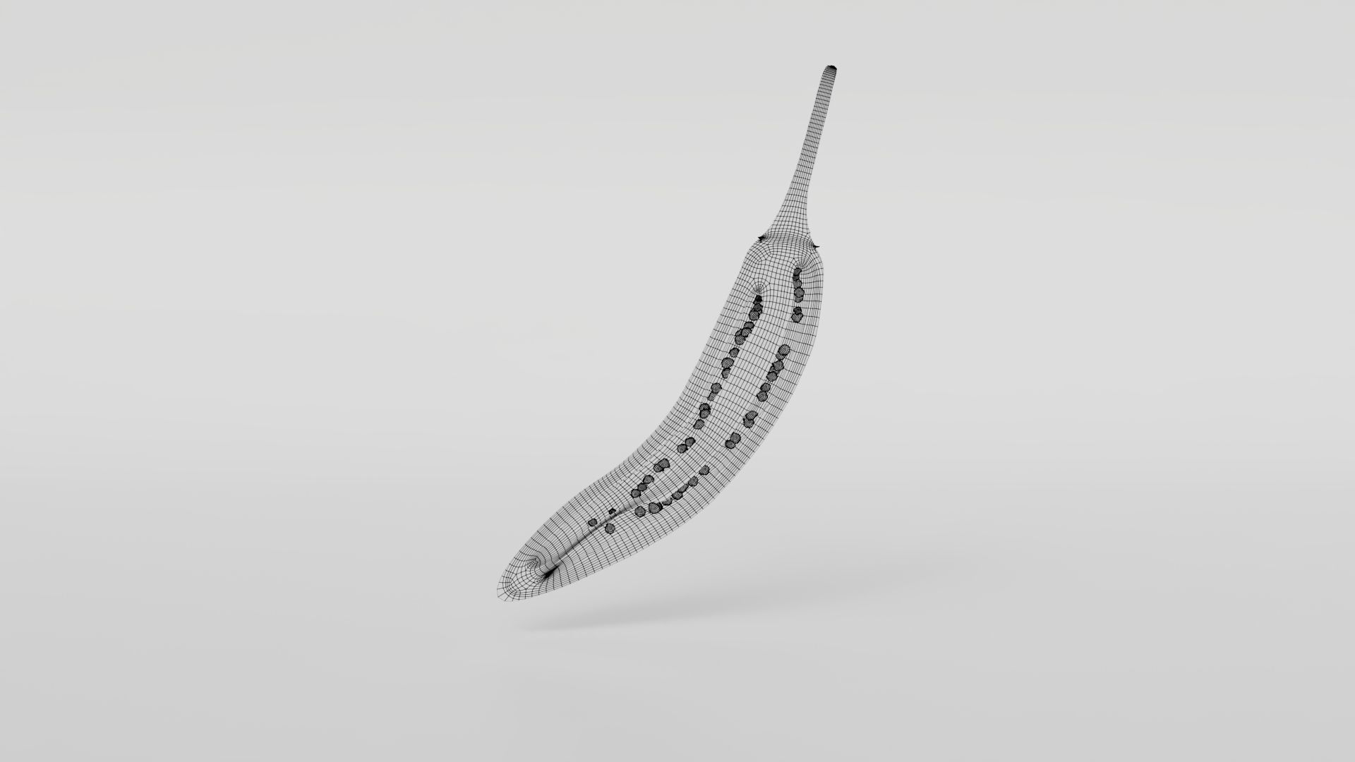 Chili pepper  3D model_20