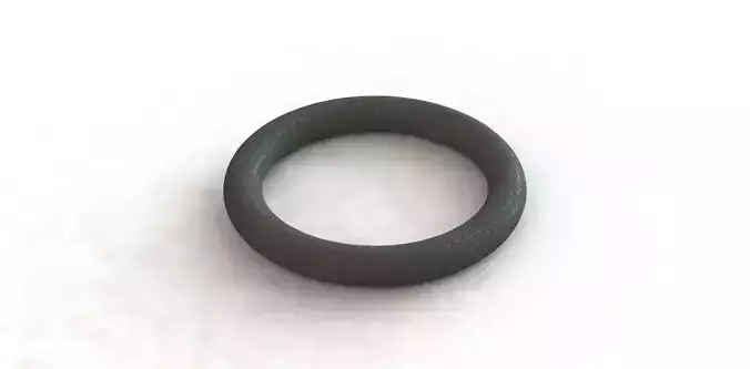 O Ring Vedabras 13101