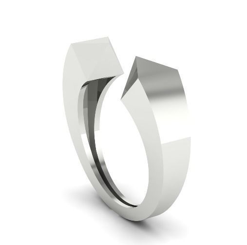 Ring N01683 3D print model_1