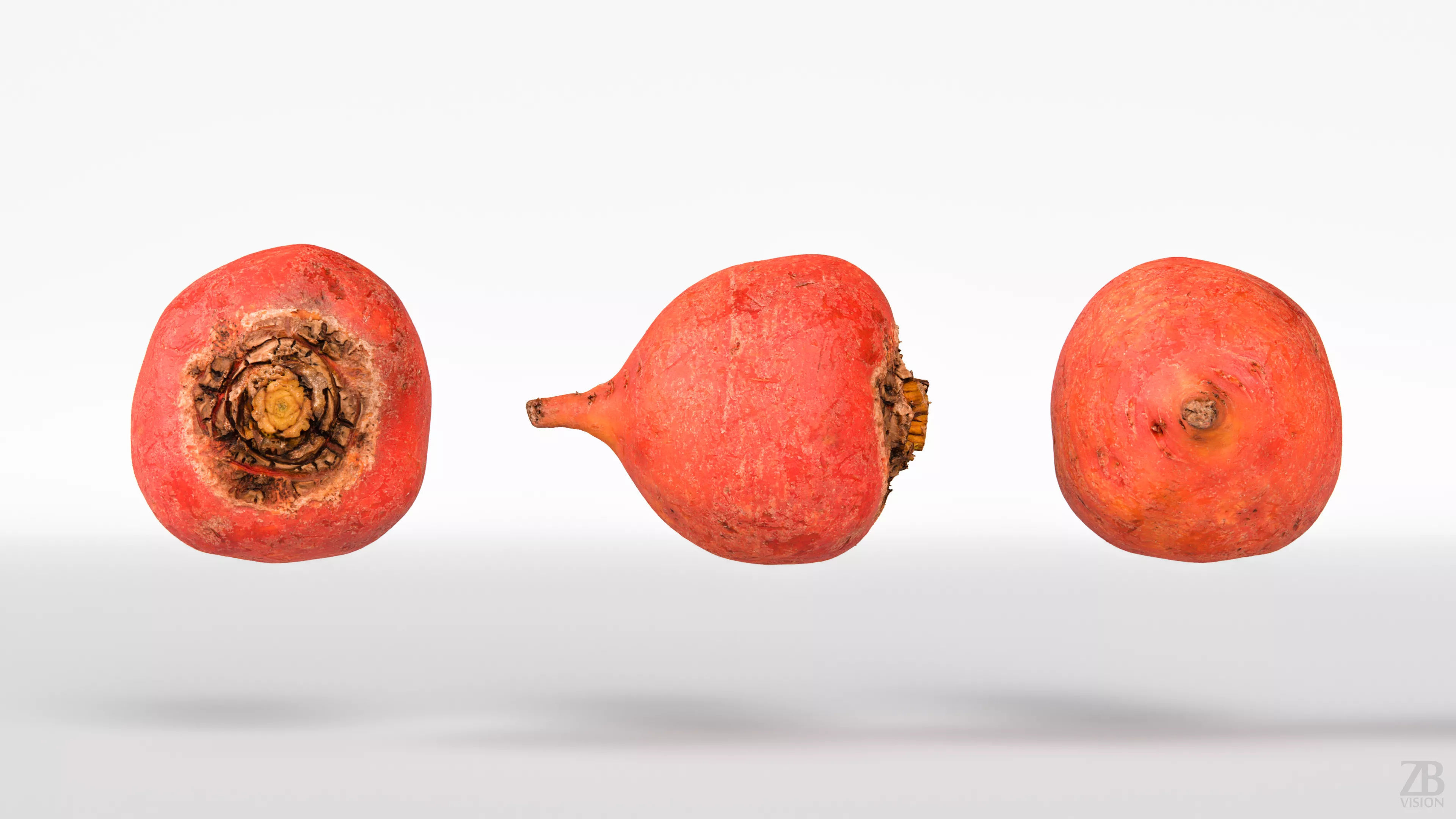 Beetroot 3D model_4