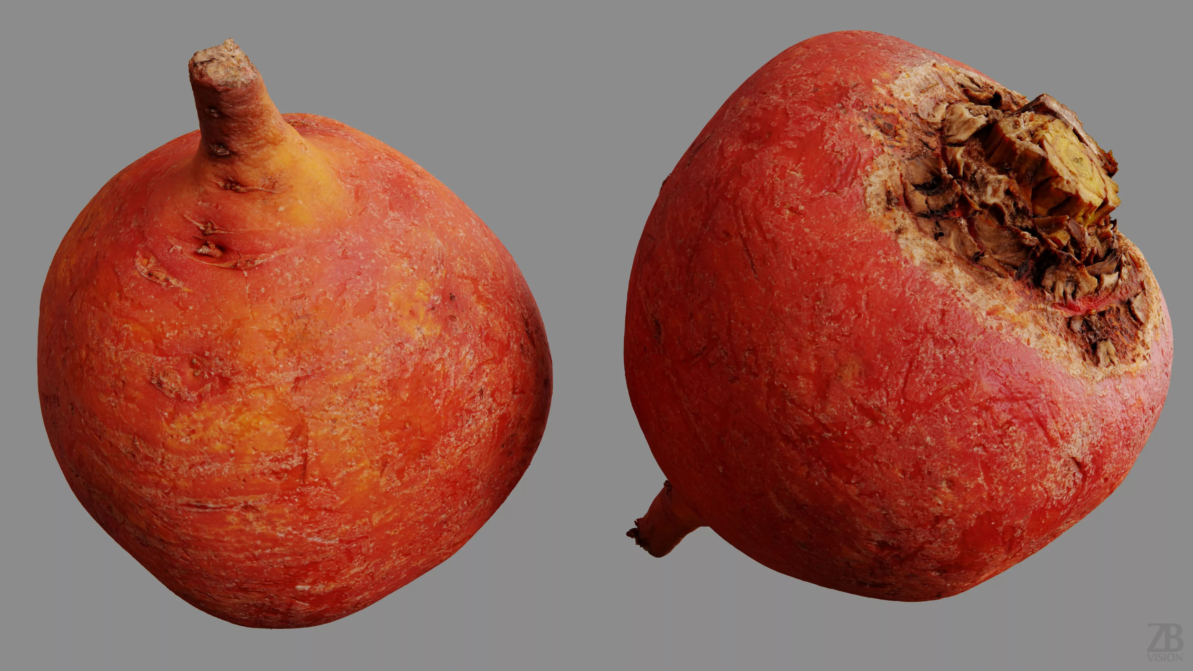 Beetroot 3D model_9