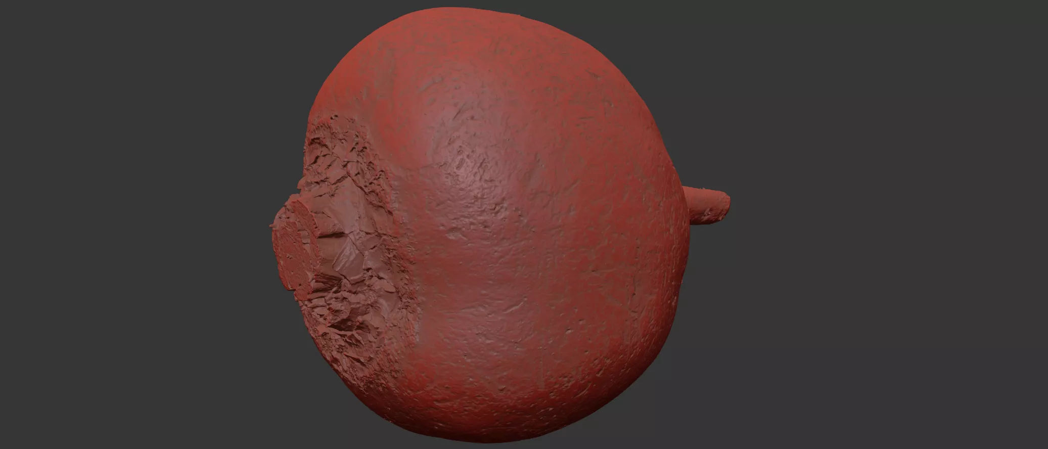 Beetroot 3D model_7